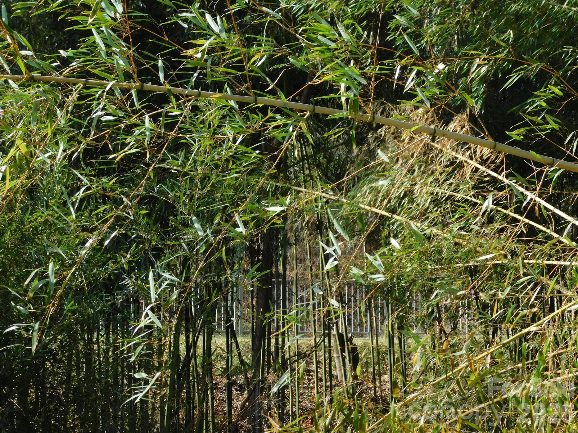 102 Jeff Street - Photo 6