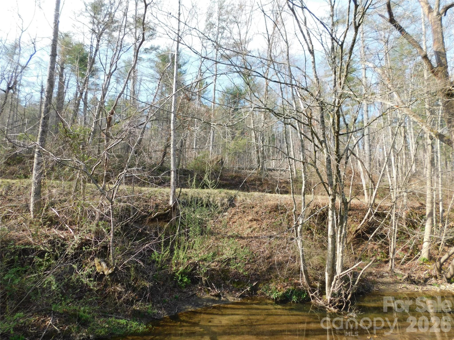 102 Jeff Street - Photo 8