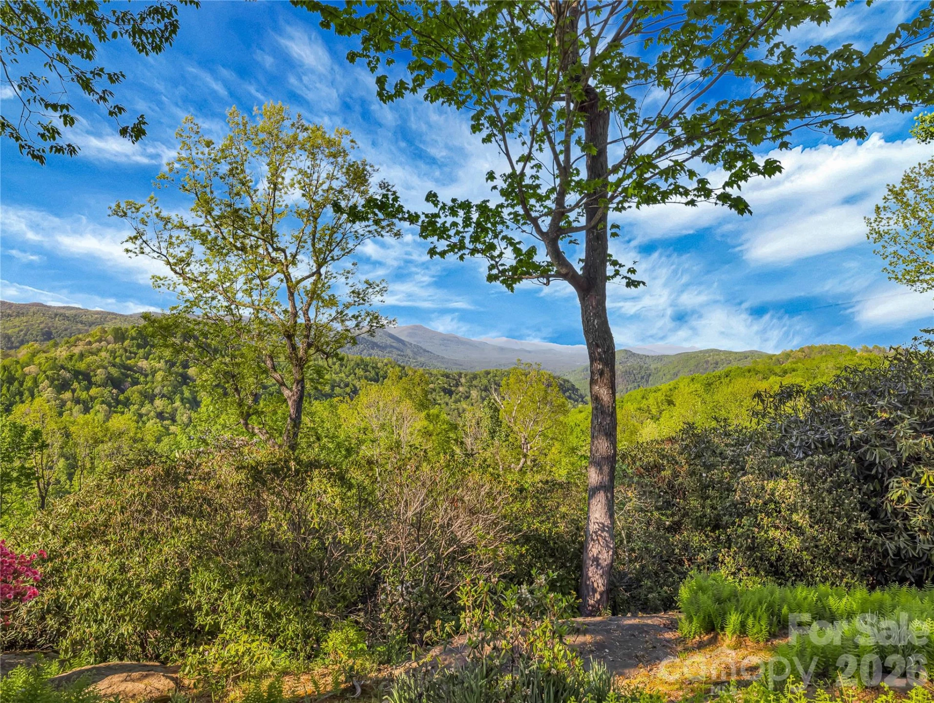 405 Glen Echo Circle - Photo 35