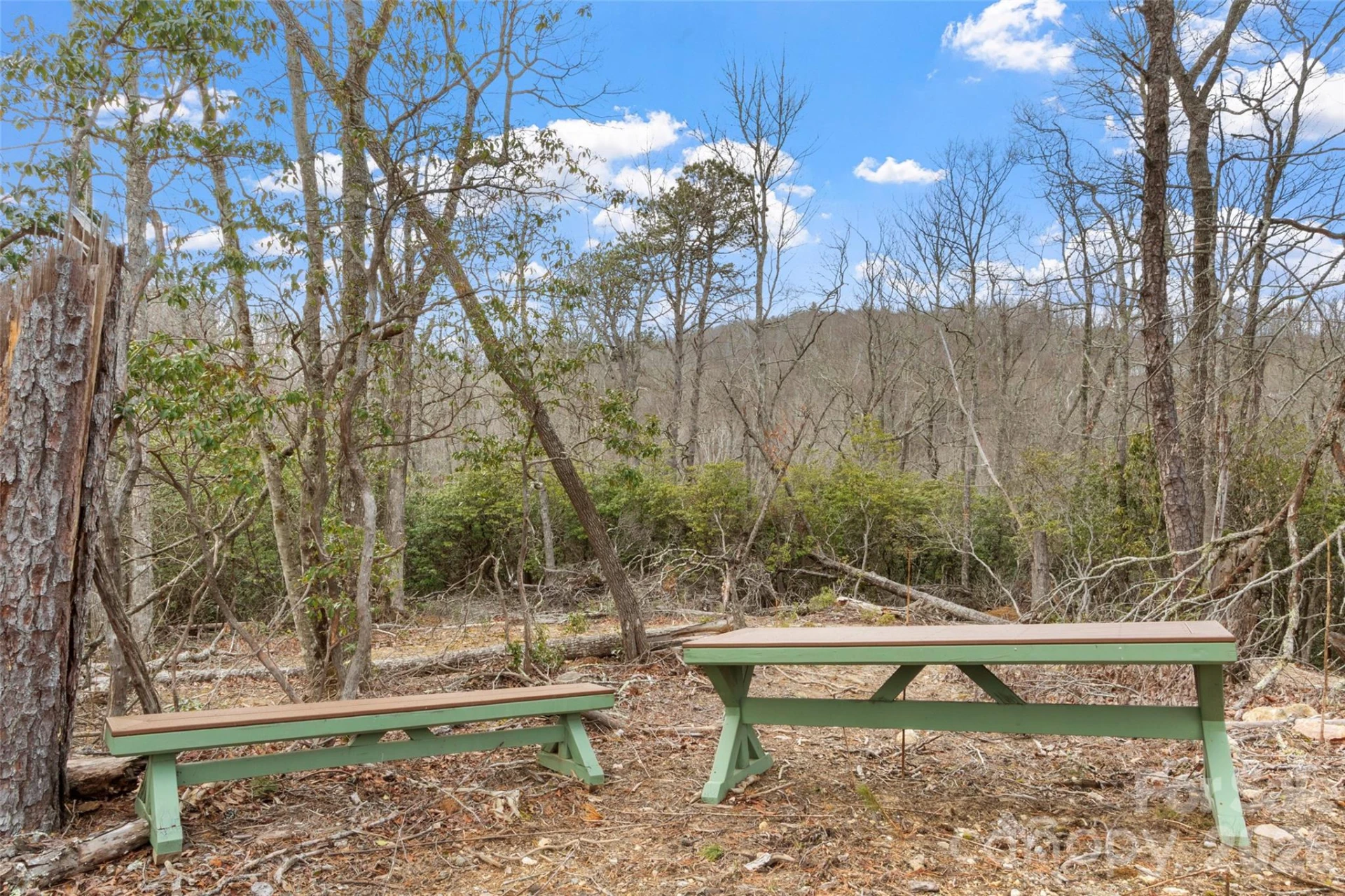 87 Trails End Road #28 - Photo 4
