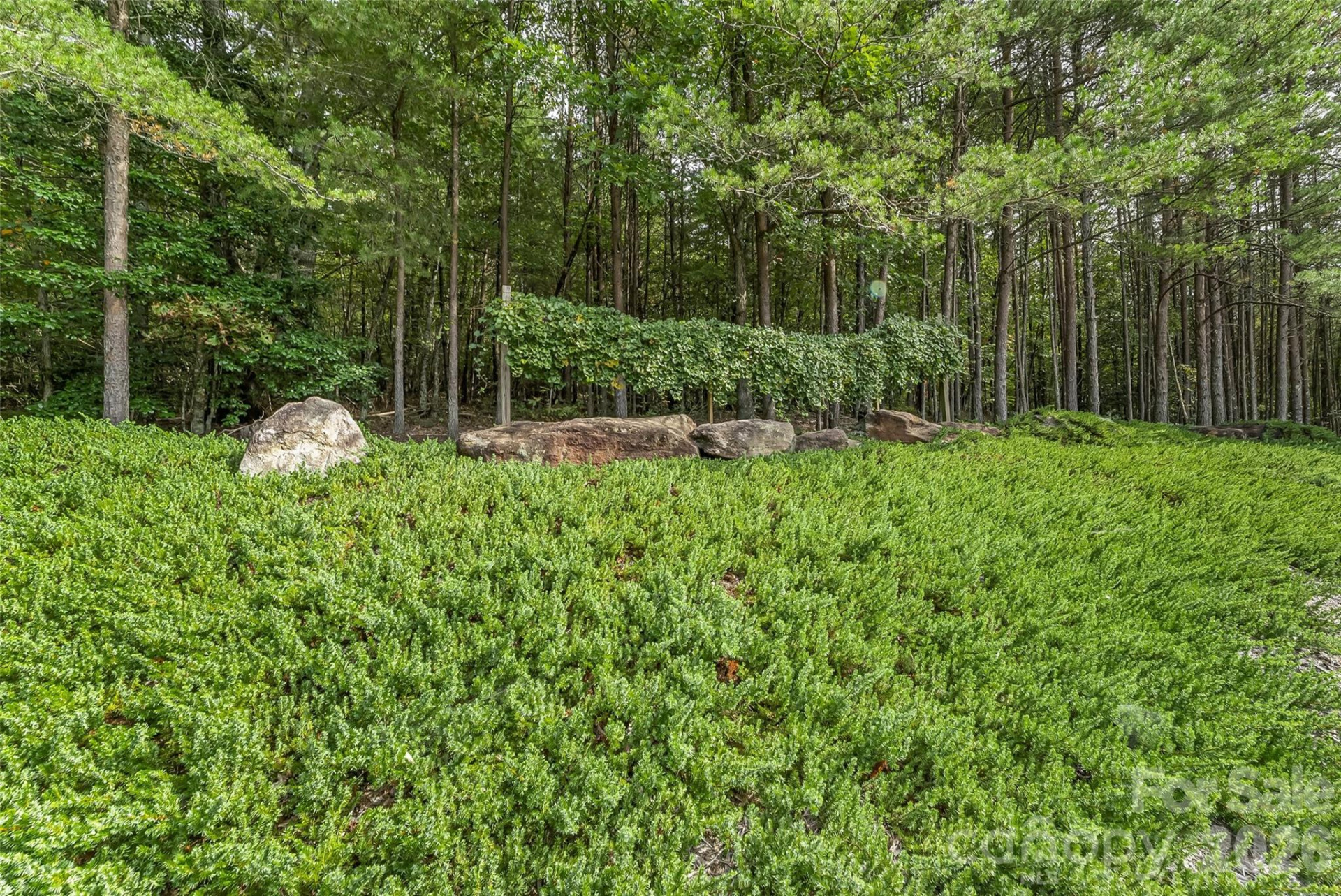 5809 Old NC 18 None - Photo 37