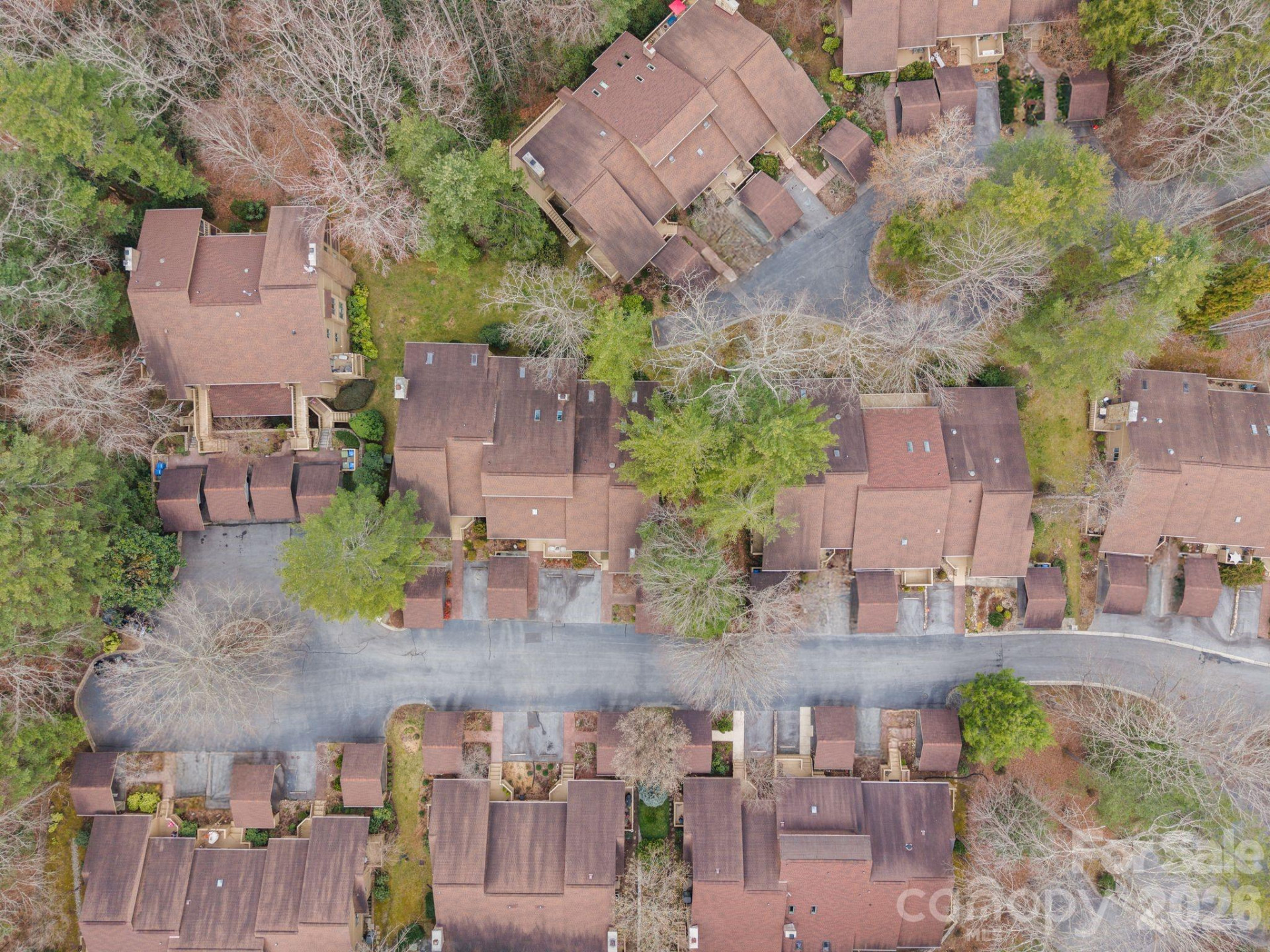 301 Scarlet Oak Lane - Photo 3