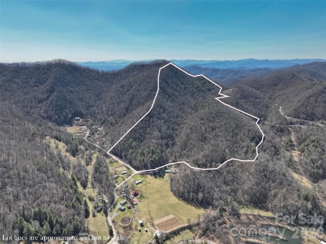 0000 Grapevine Road, Marshall, NC, 28753