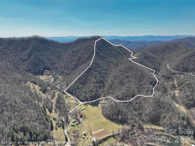 0000 Grapevine Road, Marshall, NC, 28753