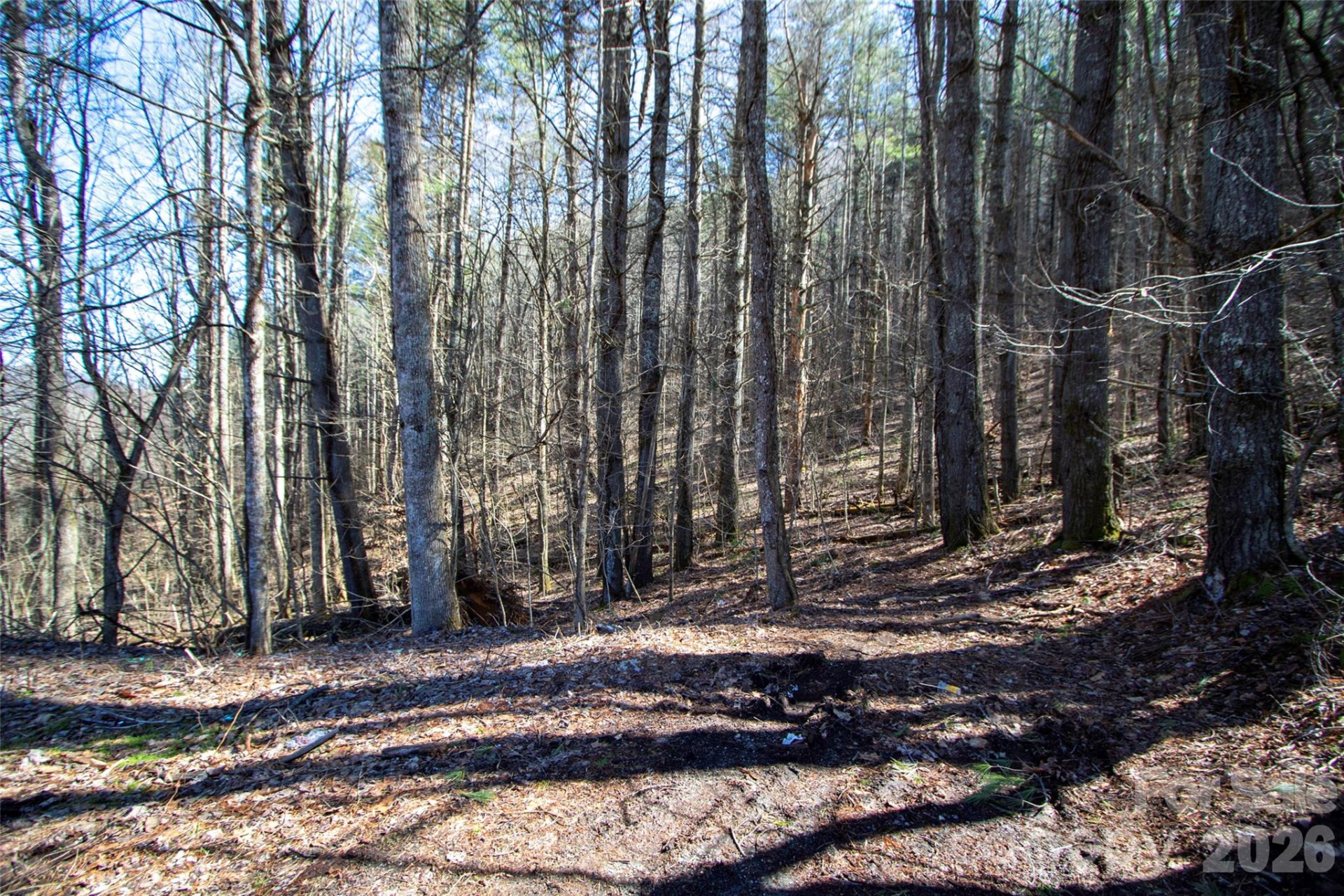 0000 Grapevine Road - Photo 2