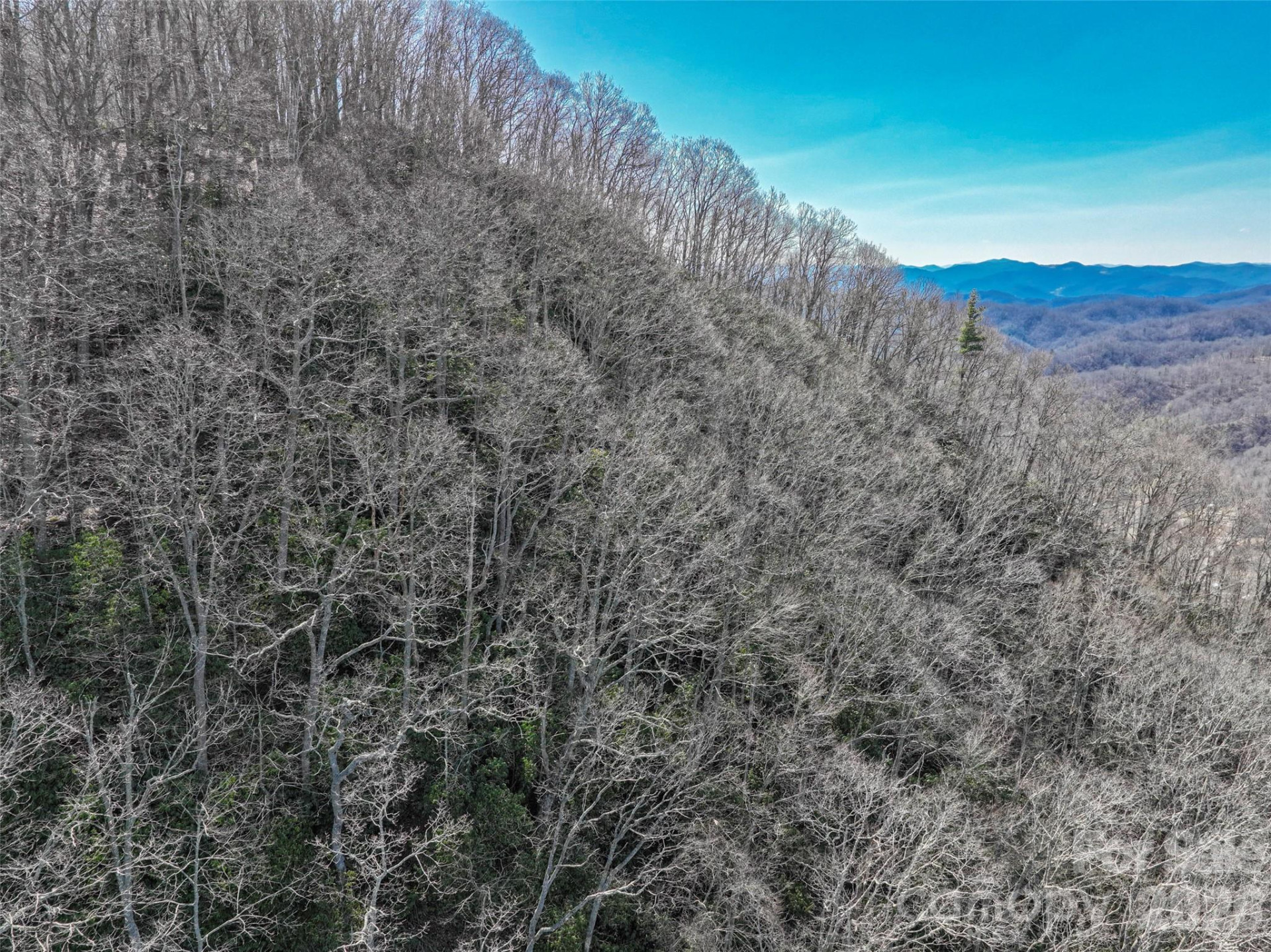 0000 Grapevine Road - Photo 13