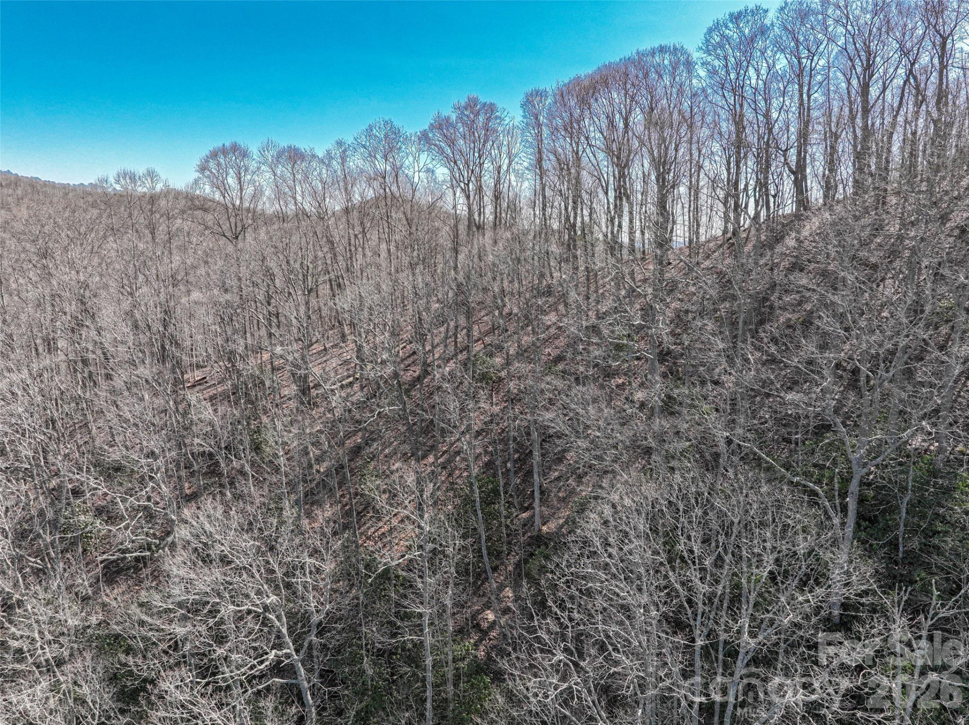 0000 Grapevine Road - Photo 14