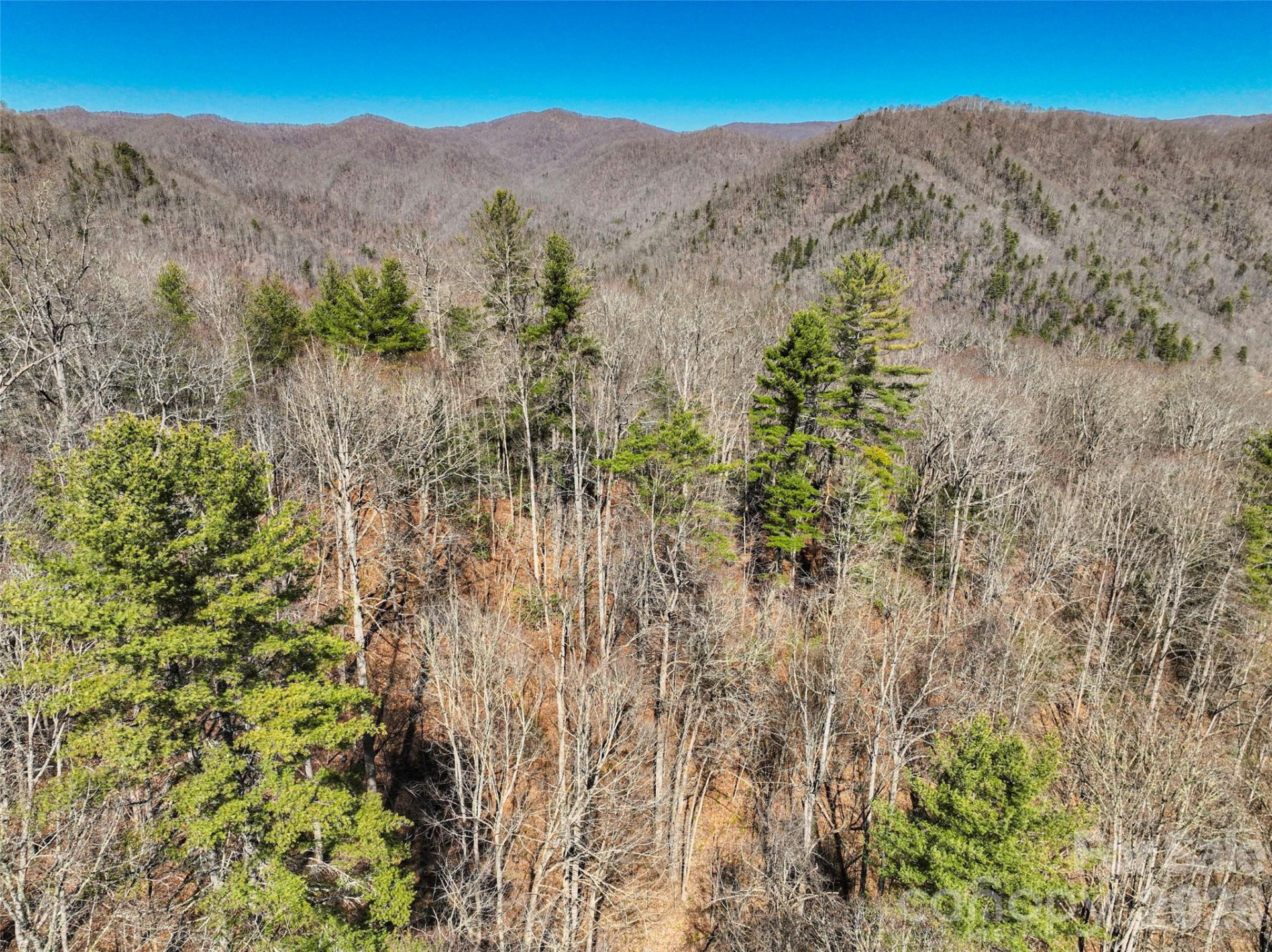 0000 Grapevine Road - Photo 15