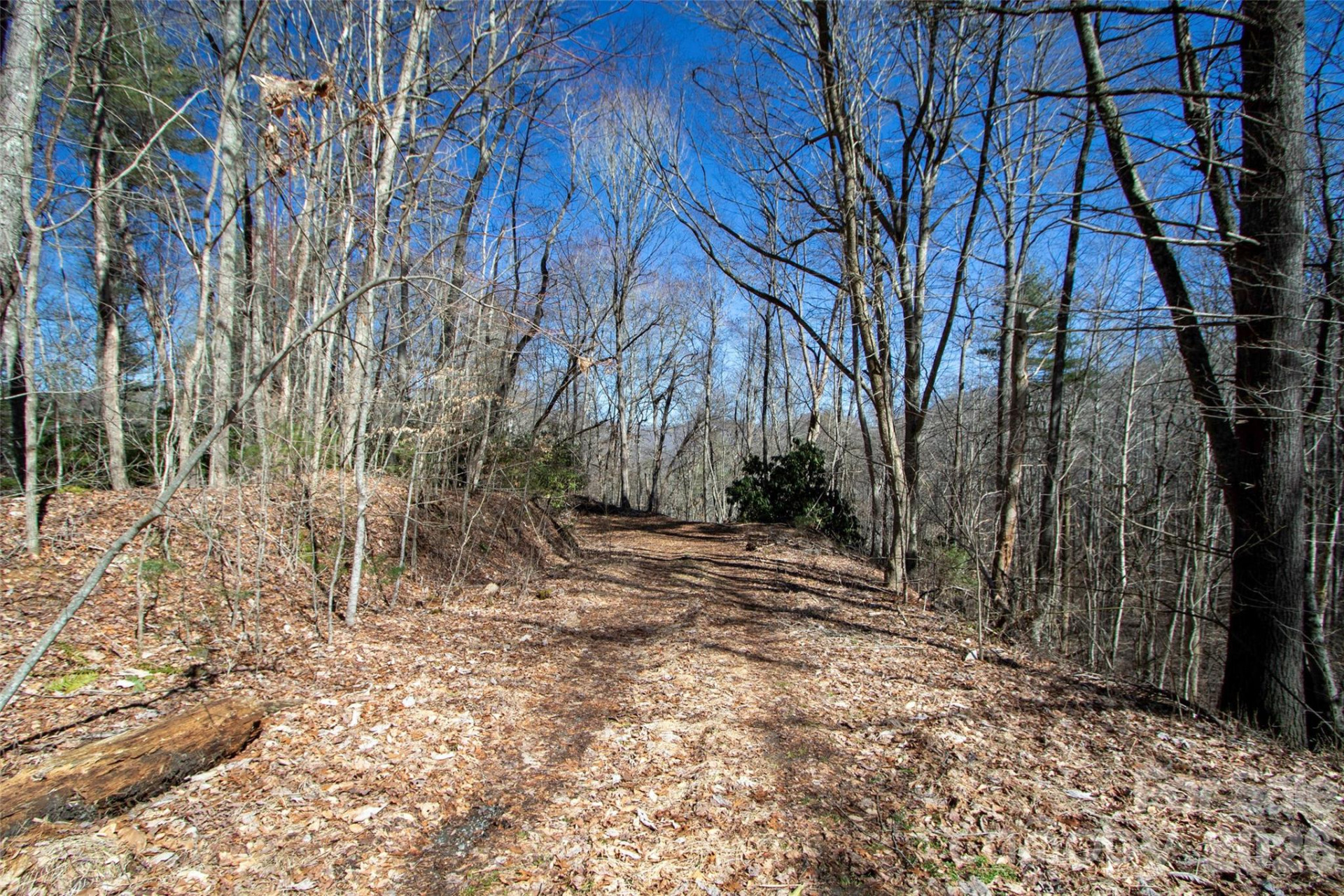 0000 Grapevine Road - Photo 3