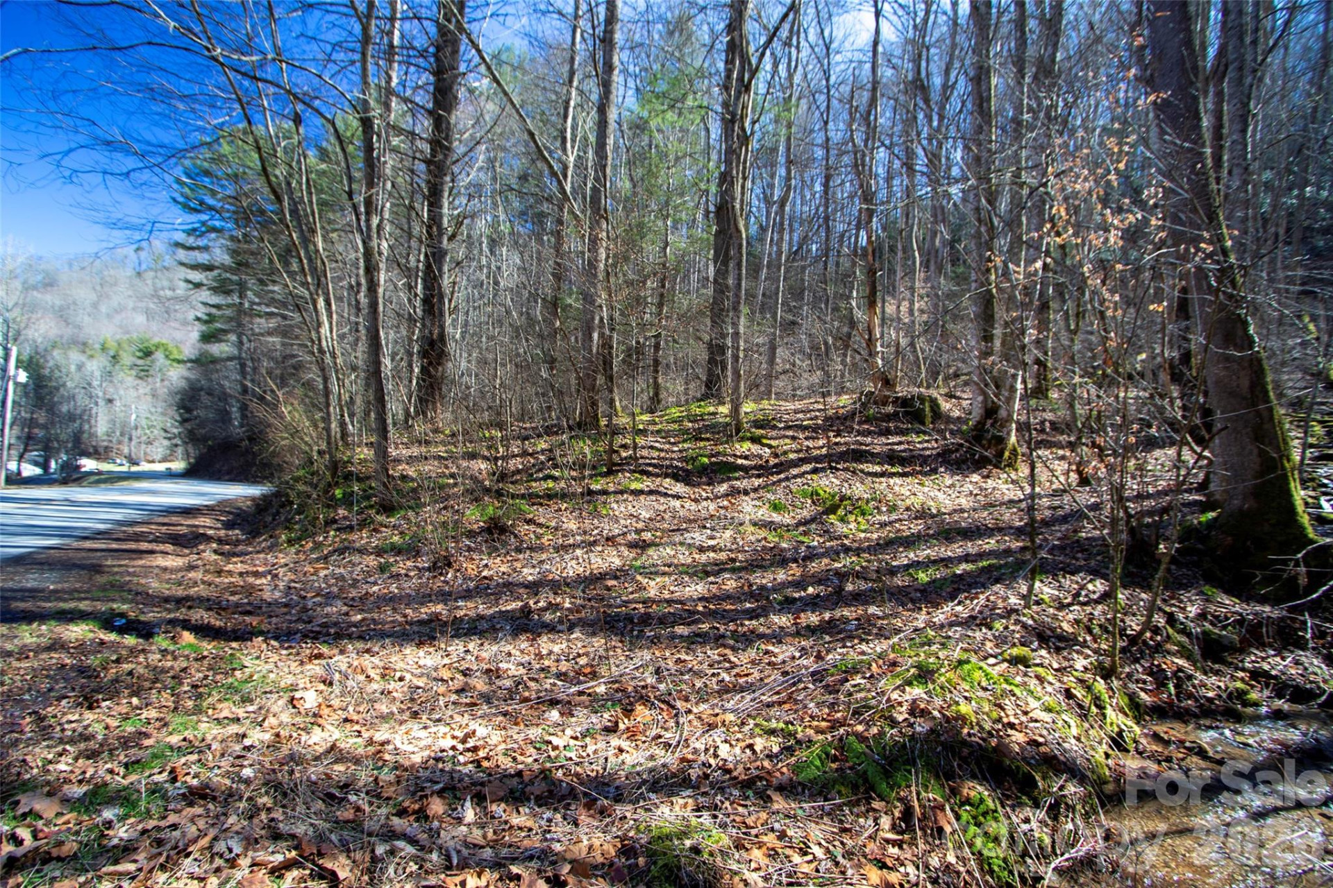 0000 Grapevine Road - Photo 4