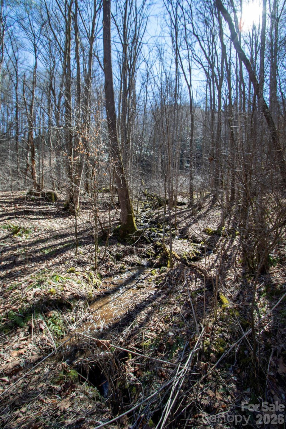 0000 Grapevine Road - Photo 5