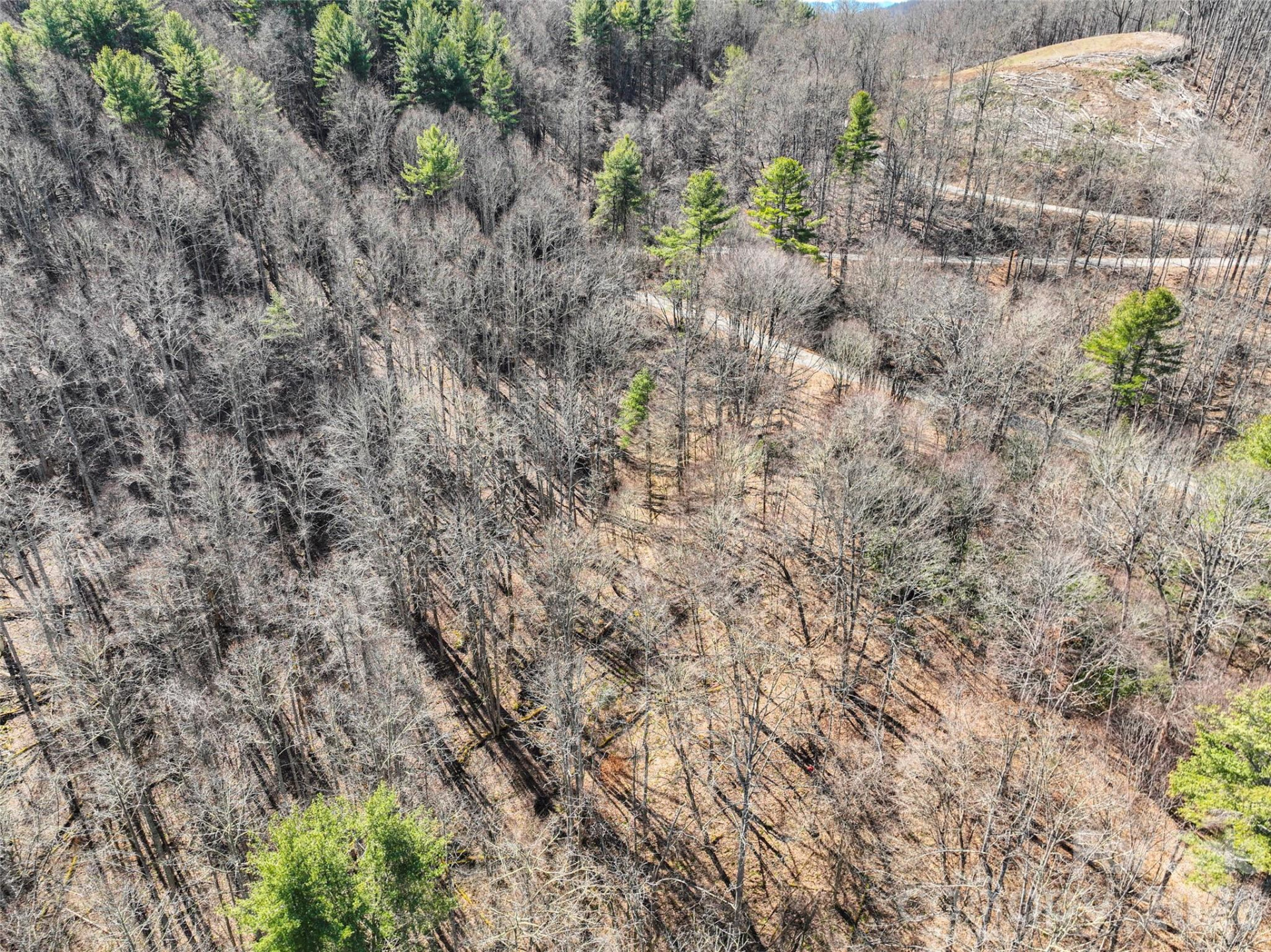 0000 Grapevine Road - Photo 9