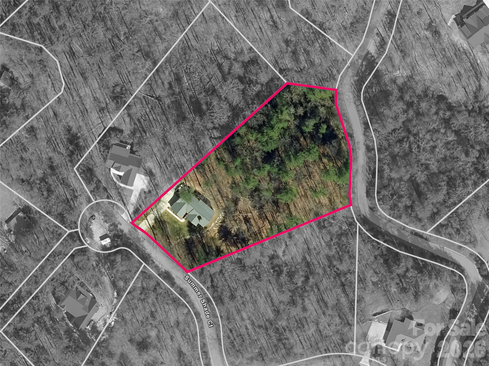 72 Summer Shade Court - Photo 16