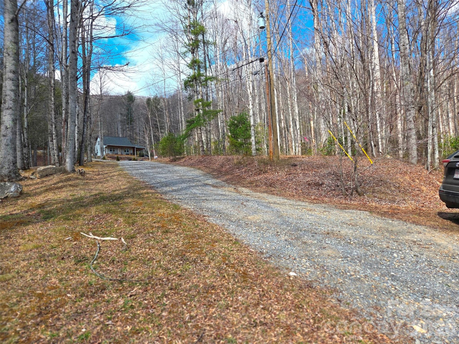 135 Cataloochee Lane - Photo 34