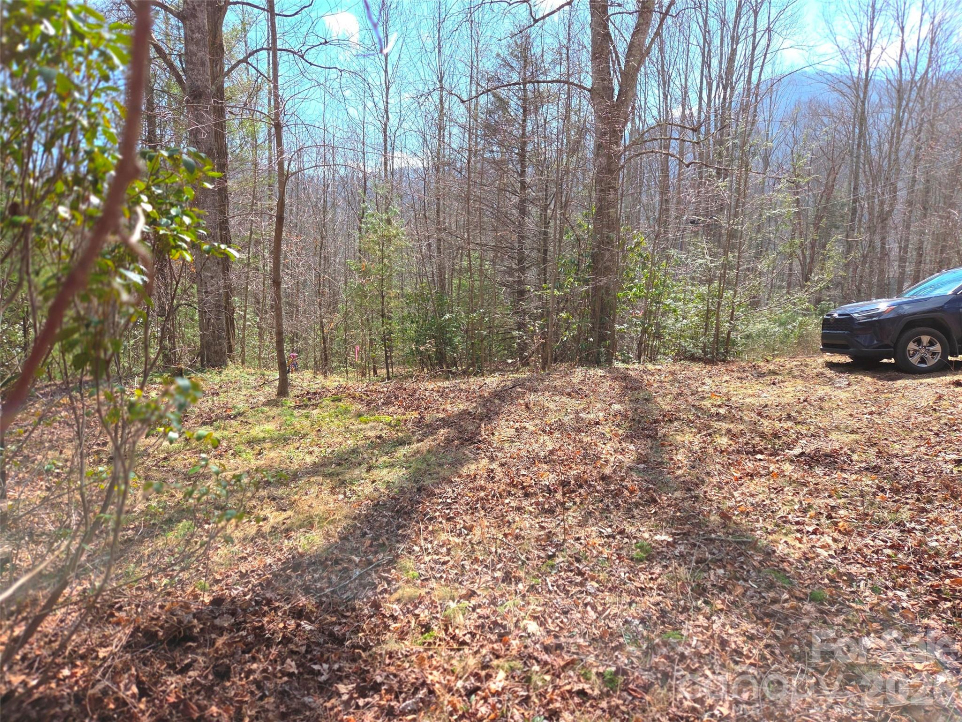 135 Cataloochee Lane - Photo 36