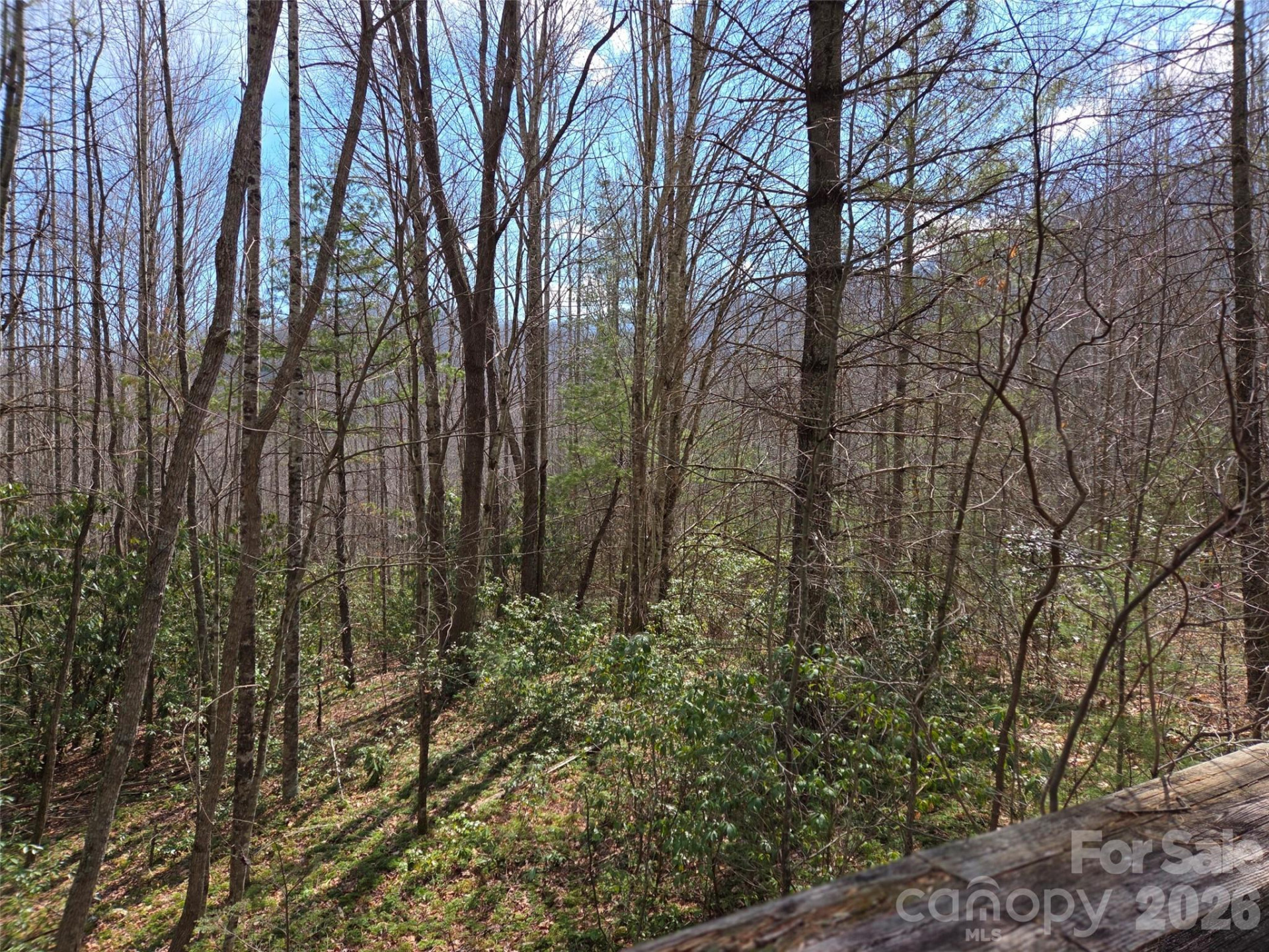 135 Cataloochee Lane - Photo 38