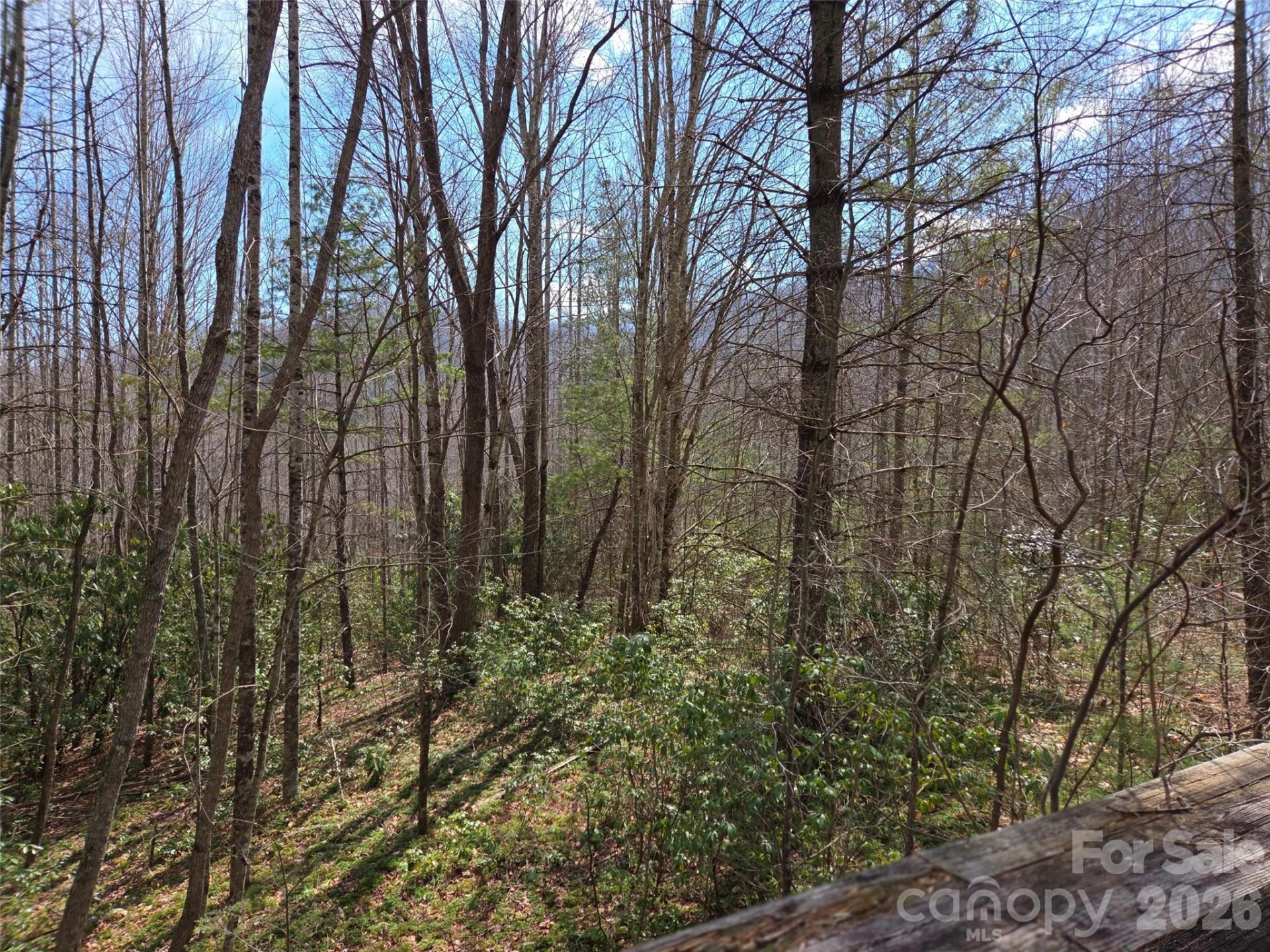 135 Cataloochee Lane - Photo 38