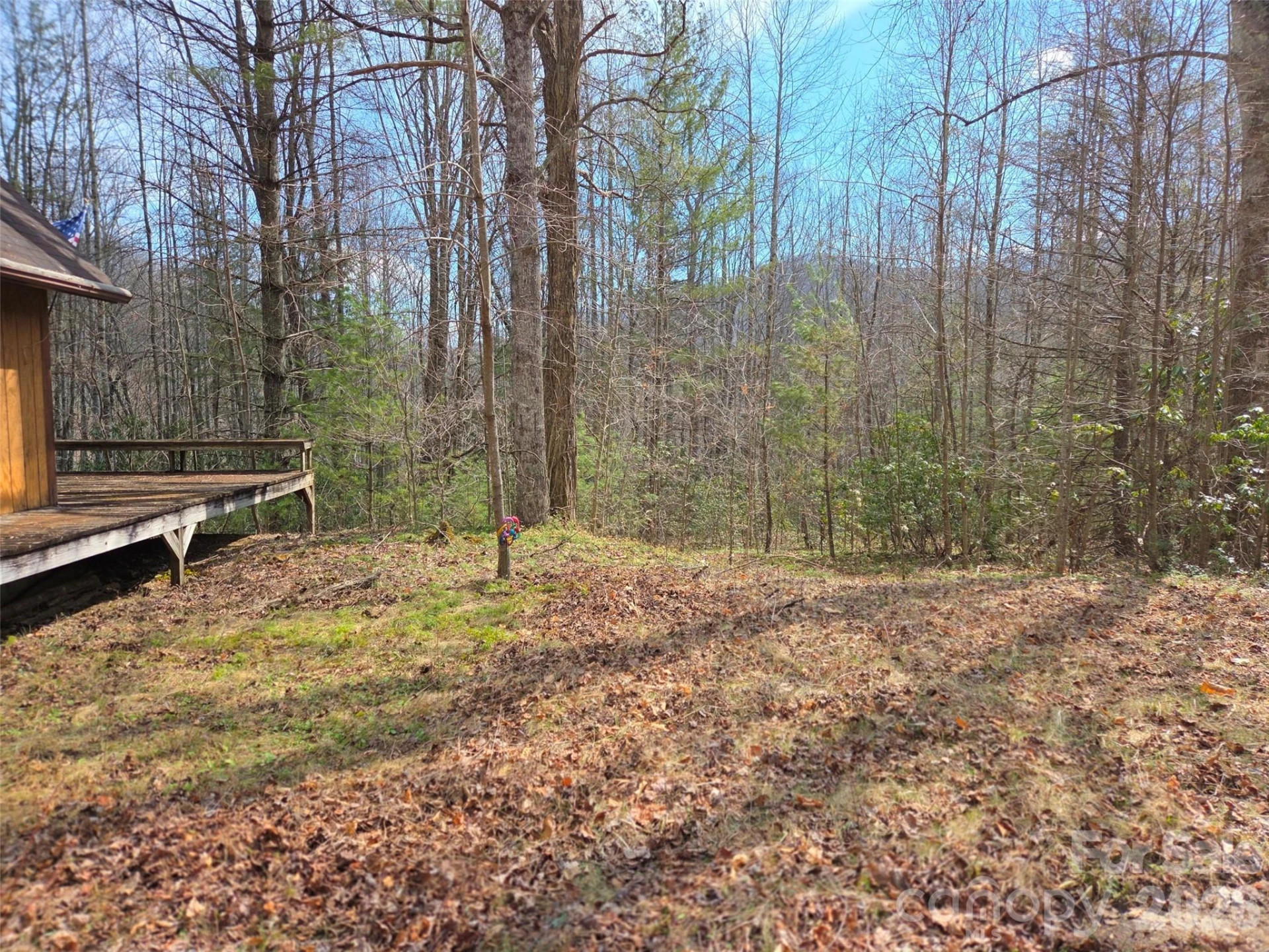 135 Cataloochee Lane - Photo 39
