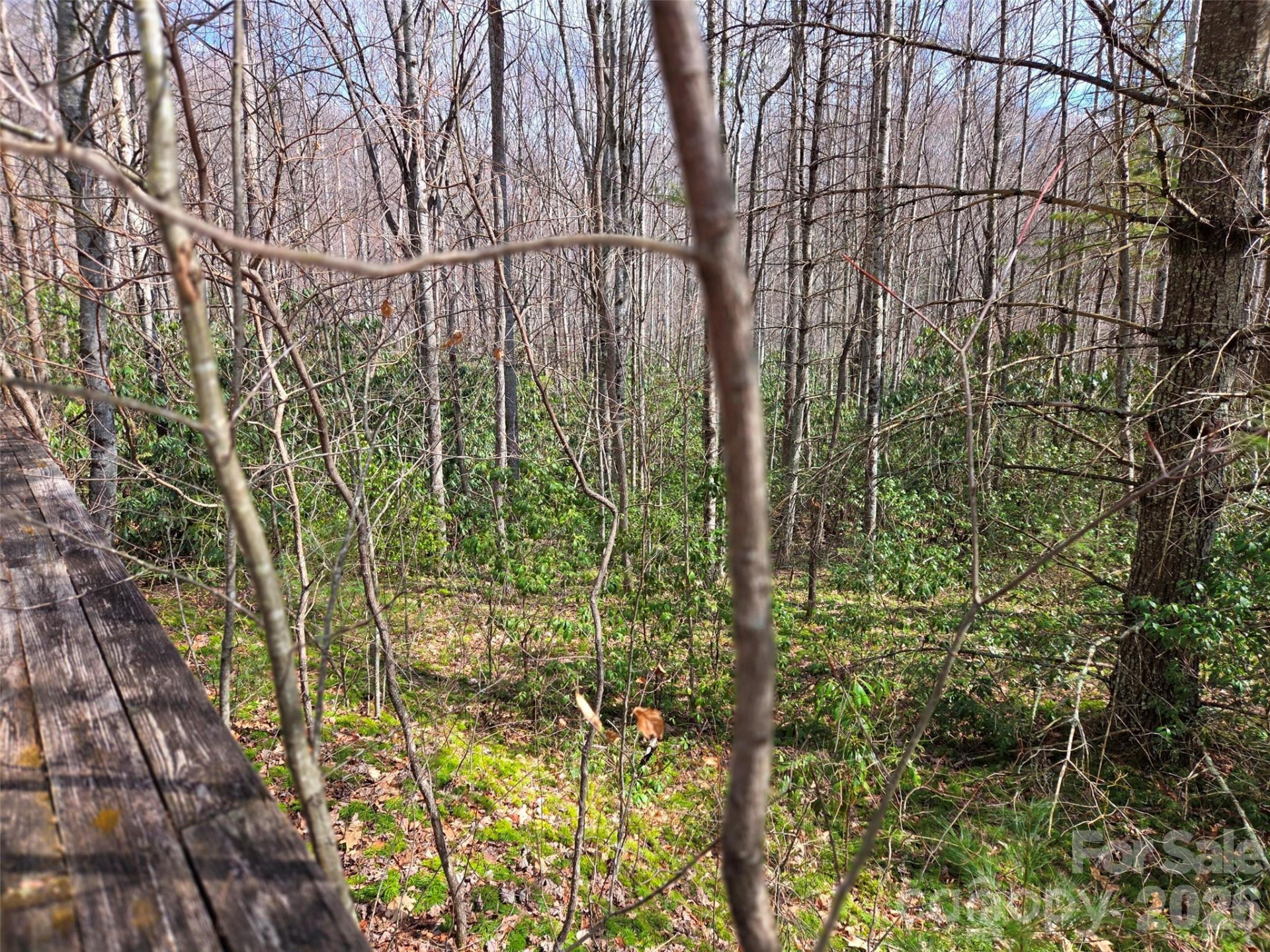 135 Cataloochee Lane - Photo 42