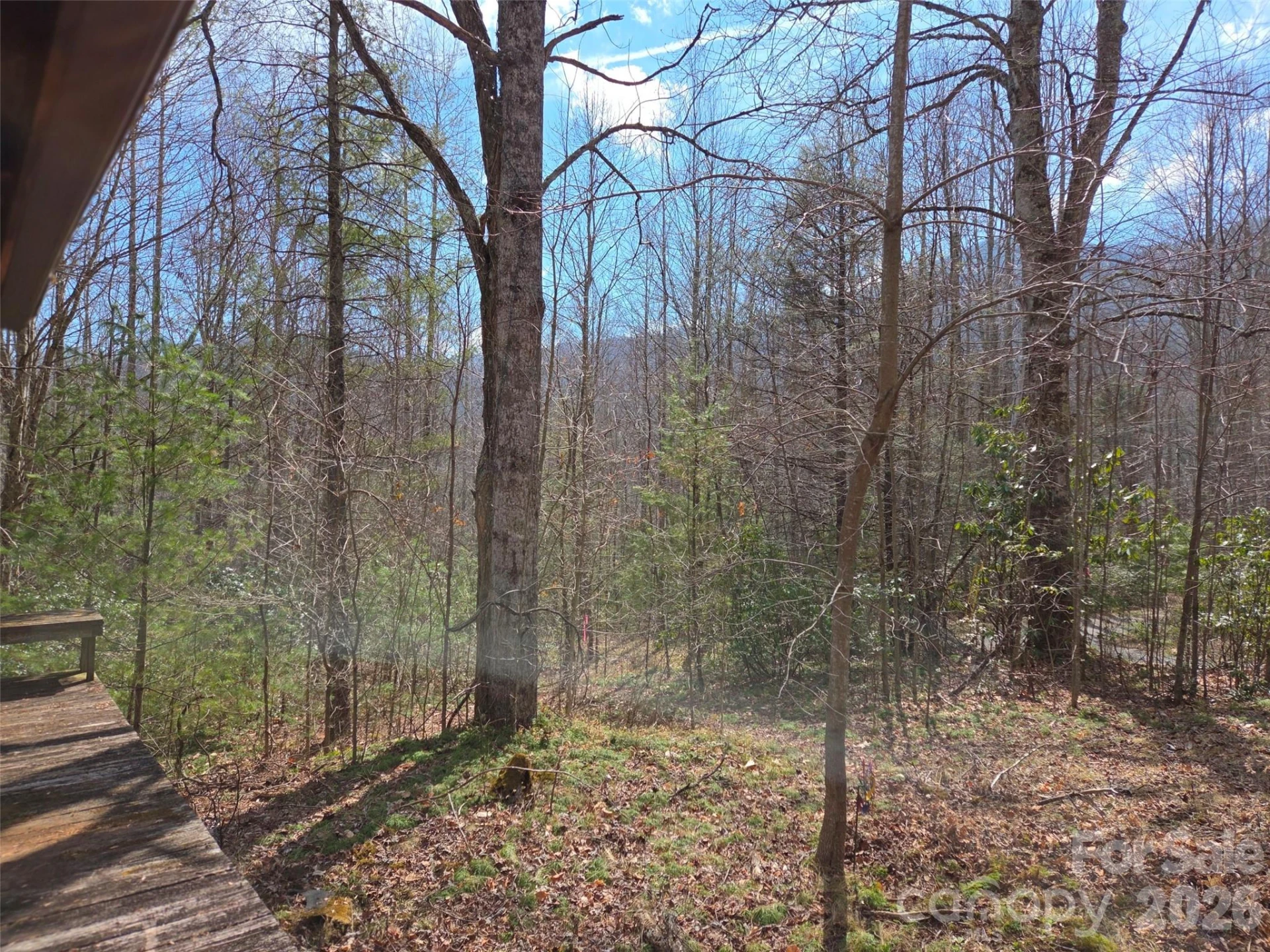 135 Cataloochee Lane - Photo 43