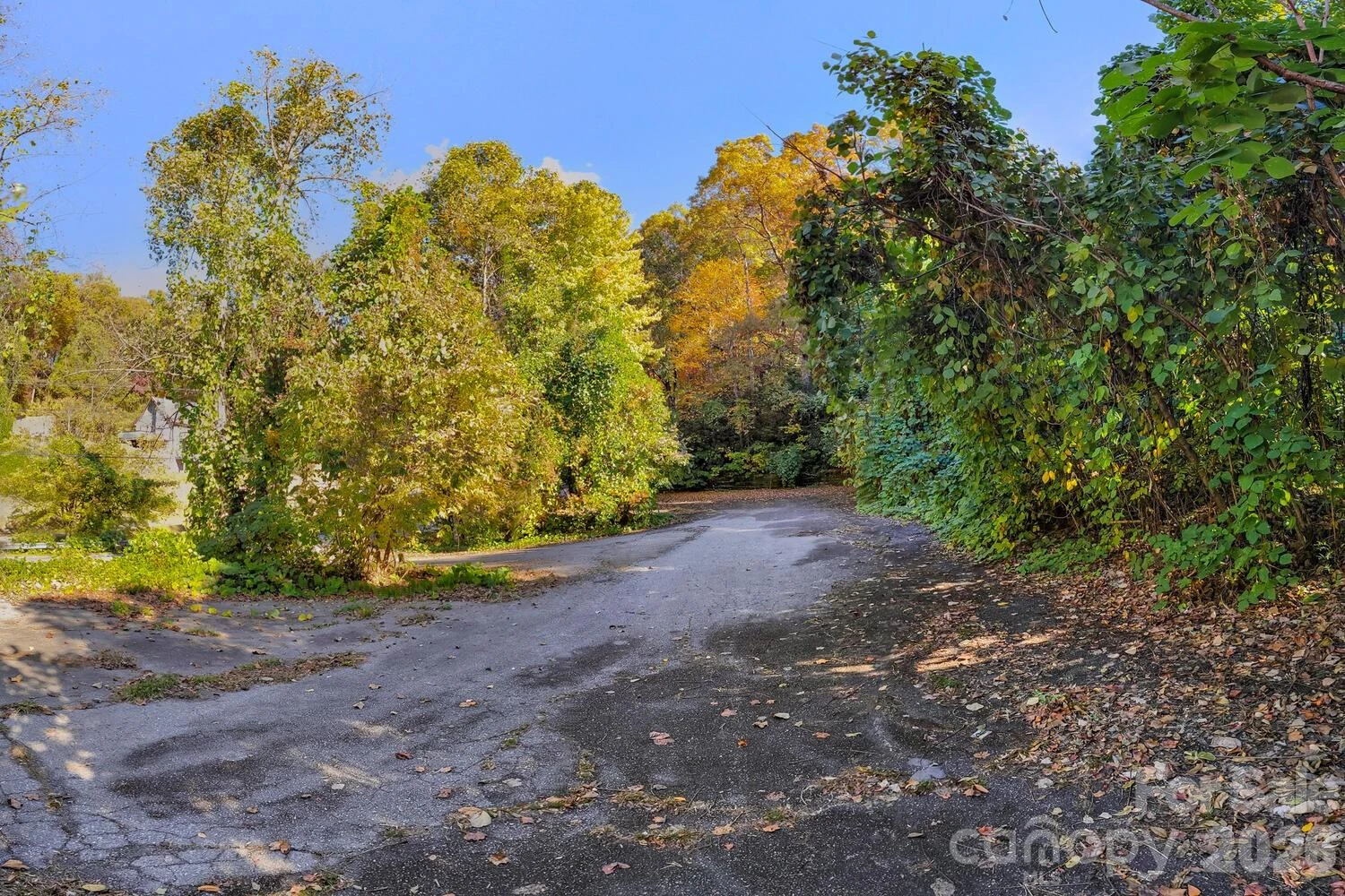 0 Waterside Drive #Lot #1B and Lot #1C - Photo 2