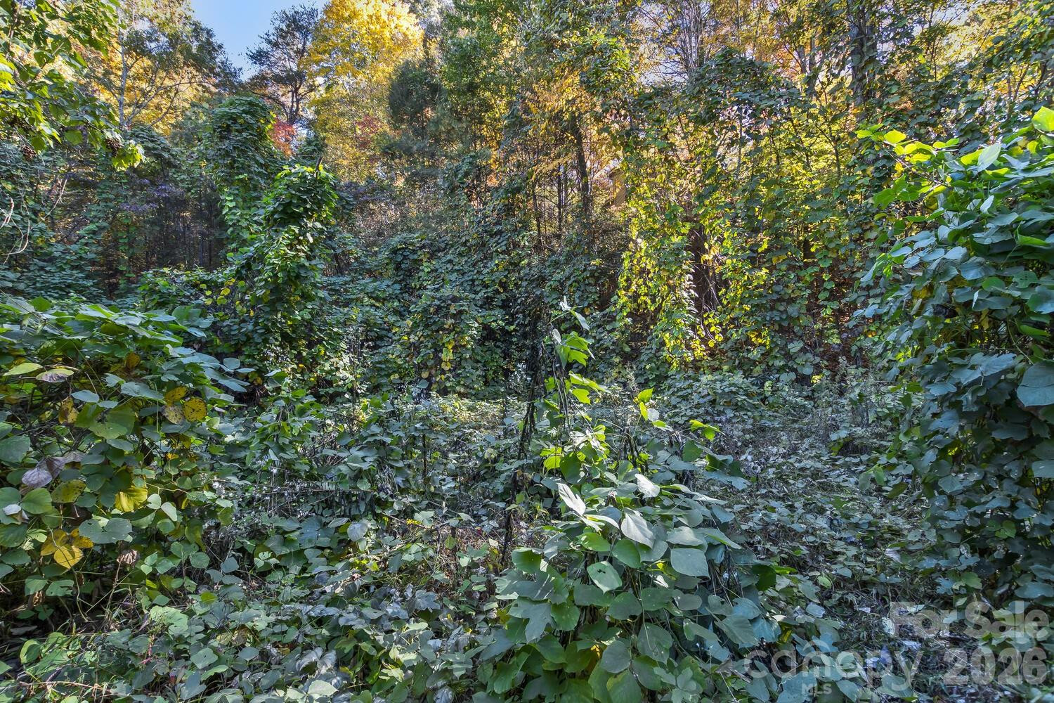 0 Waterside Drive #Lot #1B and Lot #1C - Photo 14