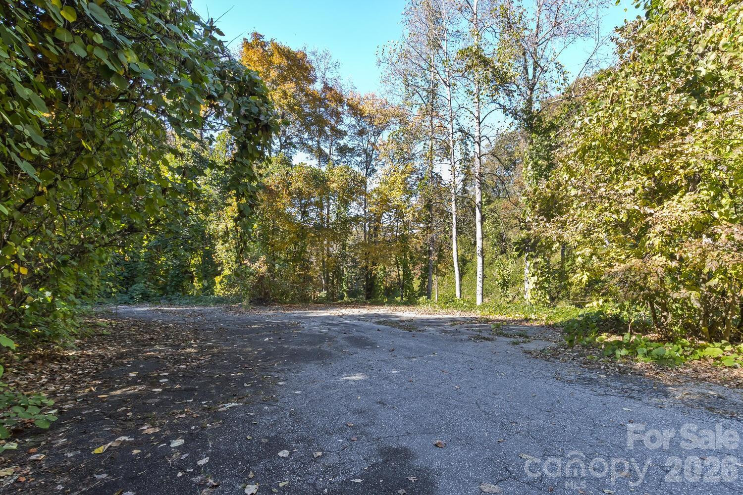 0 Waterside Drive #Lot #1B and Lot #1C - Photo 6