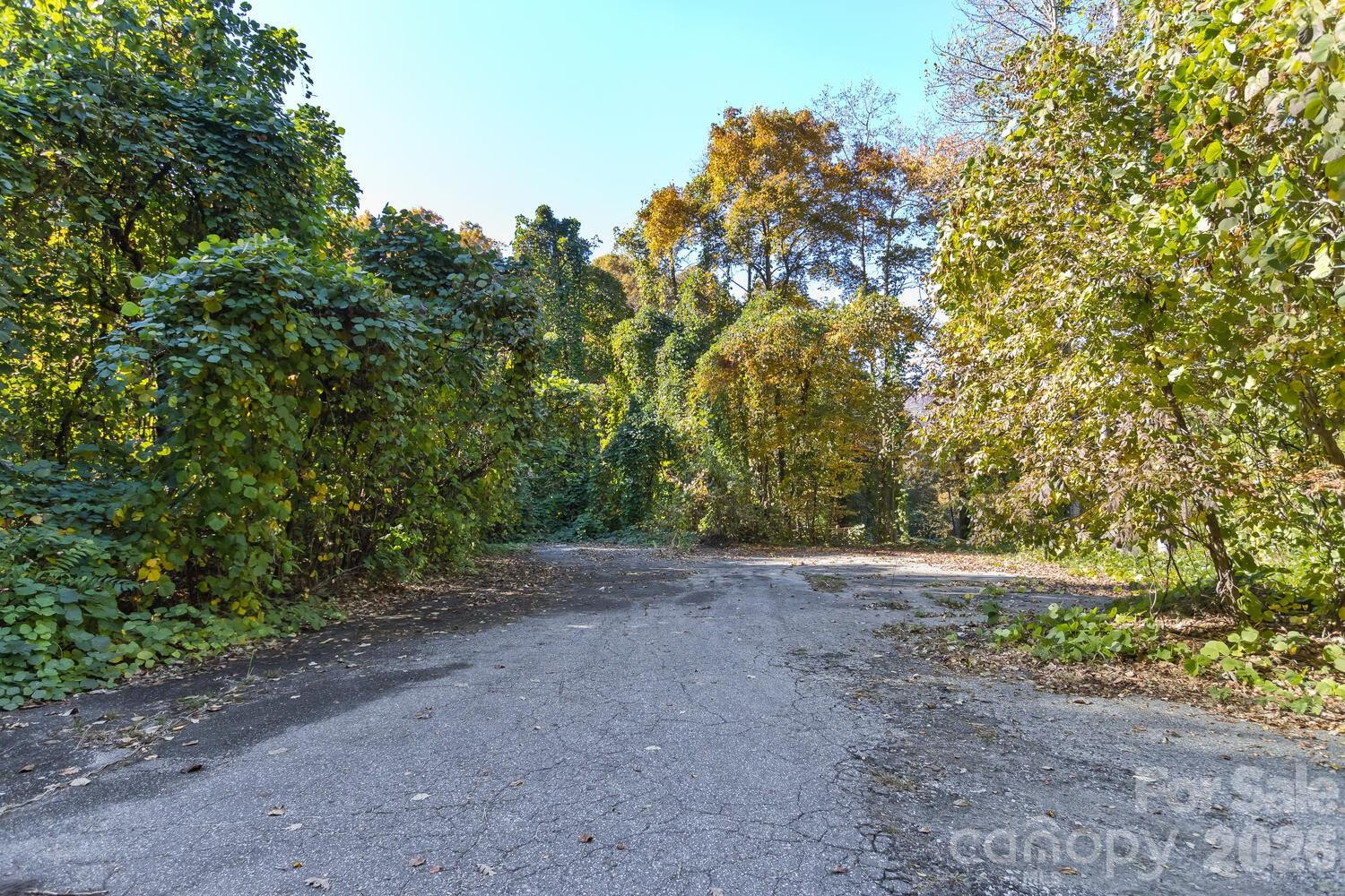 0 Waterside Drive #Lot #1B and Lot #1C - Photo 7