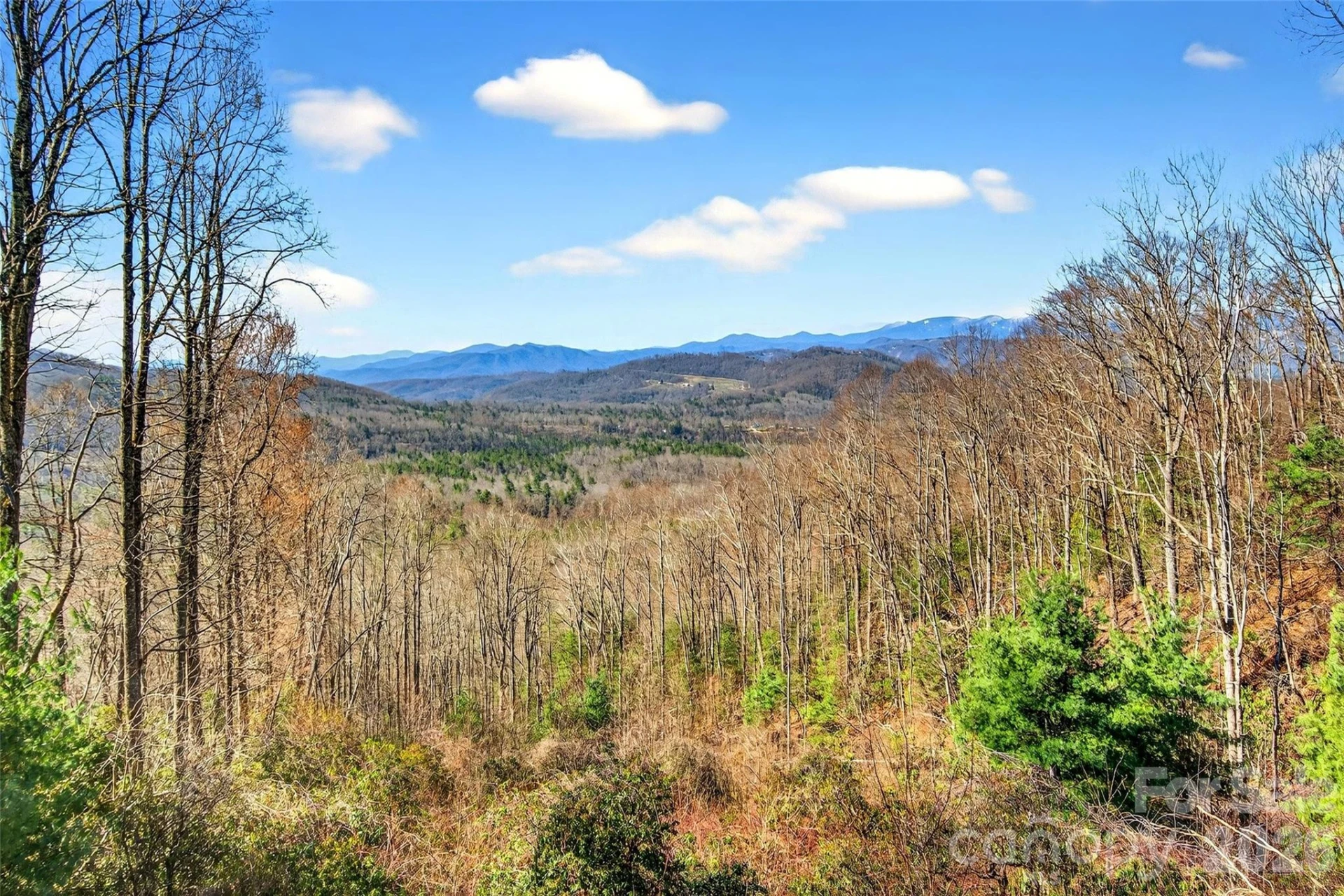 163 Walter Circle - Photo 12