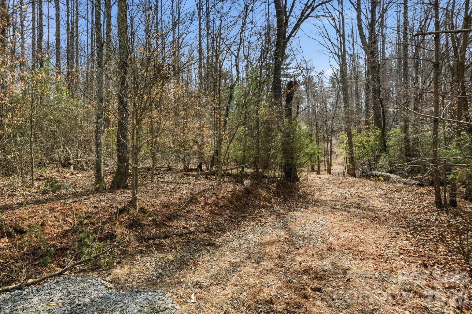 00002 Ray Hill Road #2 - Photo 4