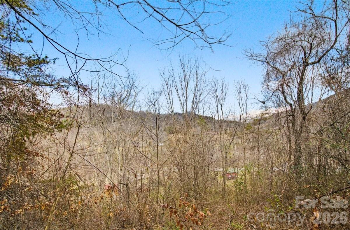 99999 Barberry Acres Road - Photo 2