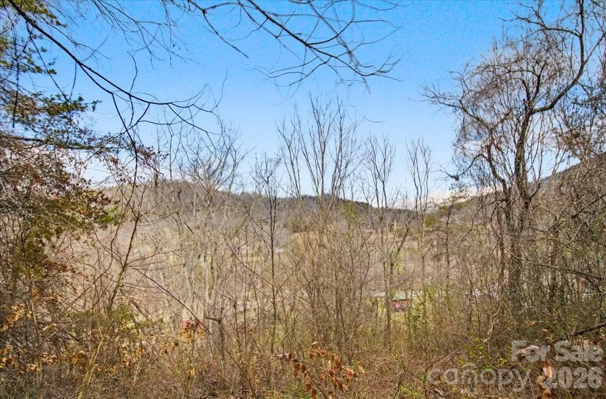 99999 Barberry Acres Road - Photo 2