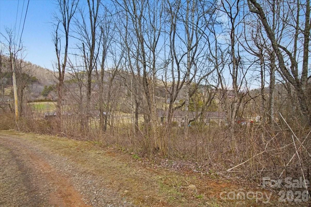 99999 Barberry Acres Road - Photo 4