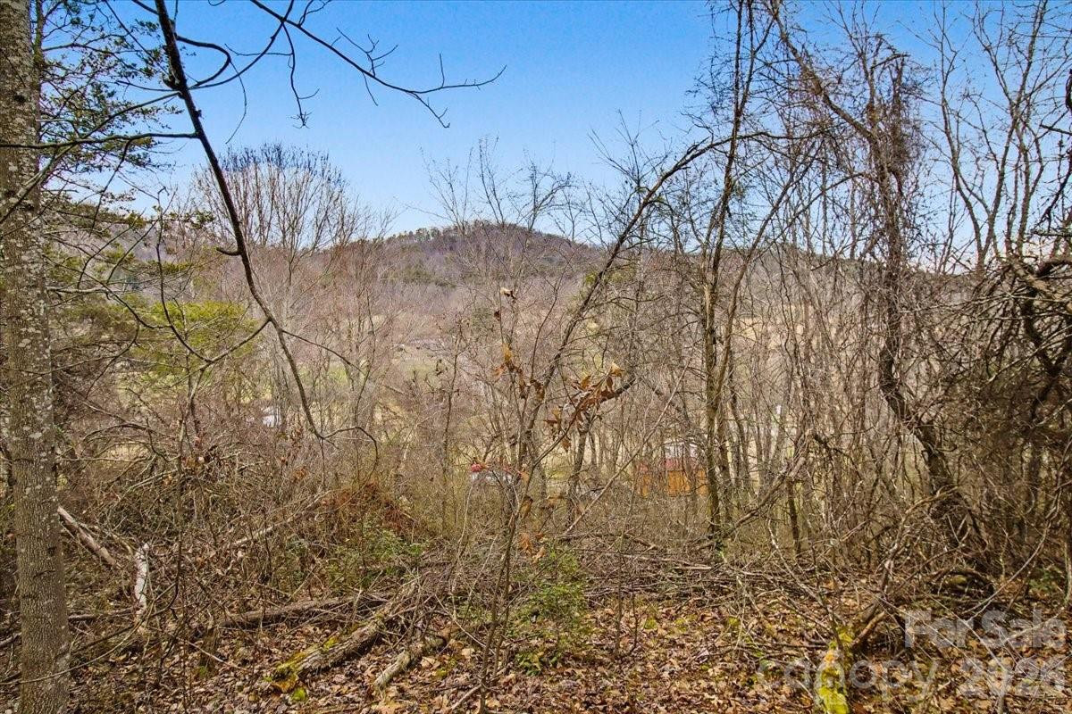 99999 Barberry Acres Road - Photo 5