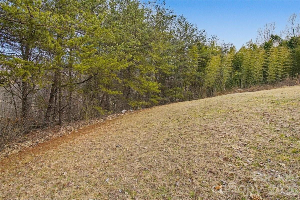 99999 Barberry Acres Road - Photo 6