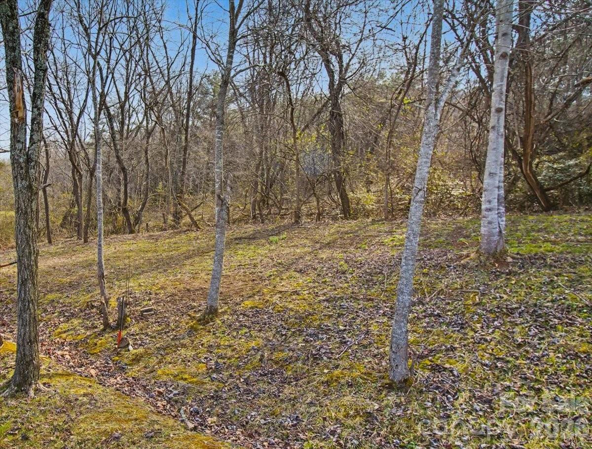 99999 Barberry Acres Road - Photo 7