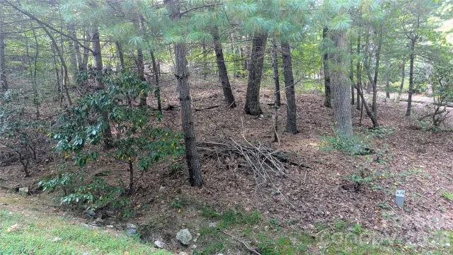 101 Scenic Drive, Flat Rock, NC, 28731