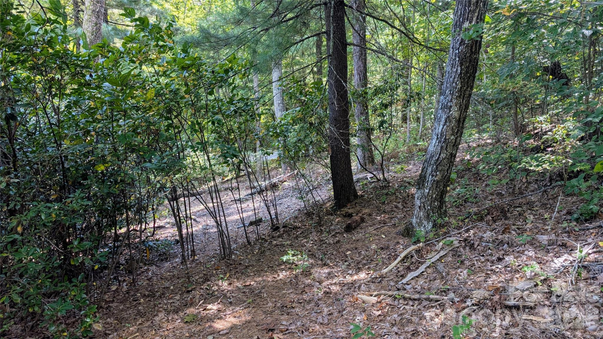 101 Scenic Drive #74 - Photo 2