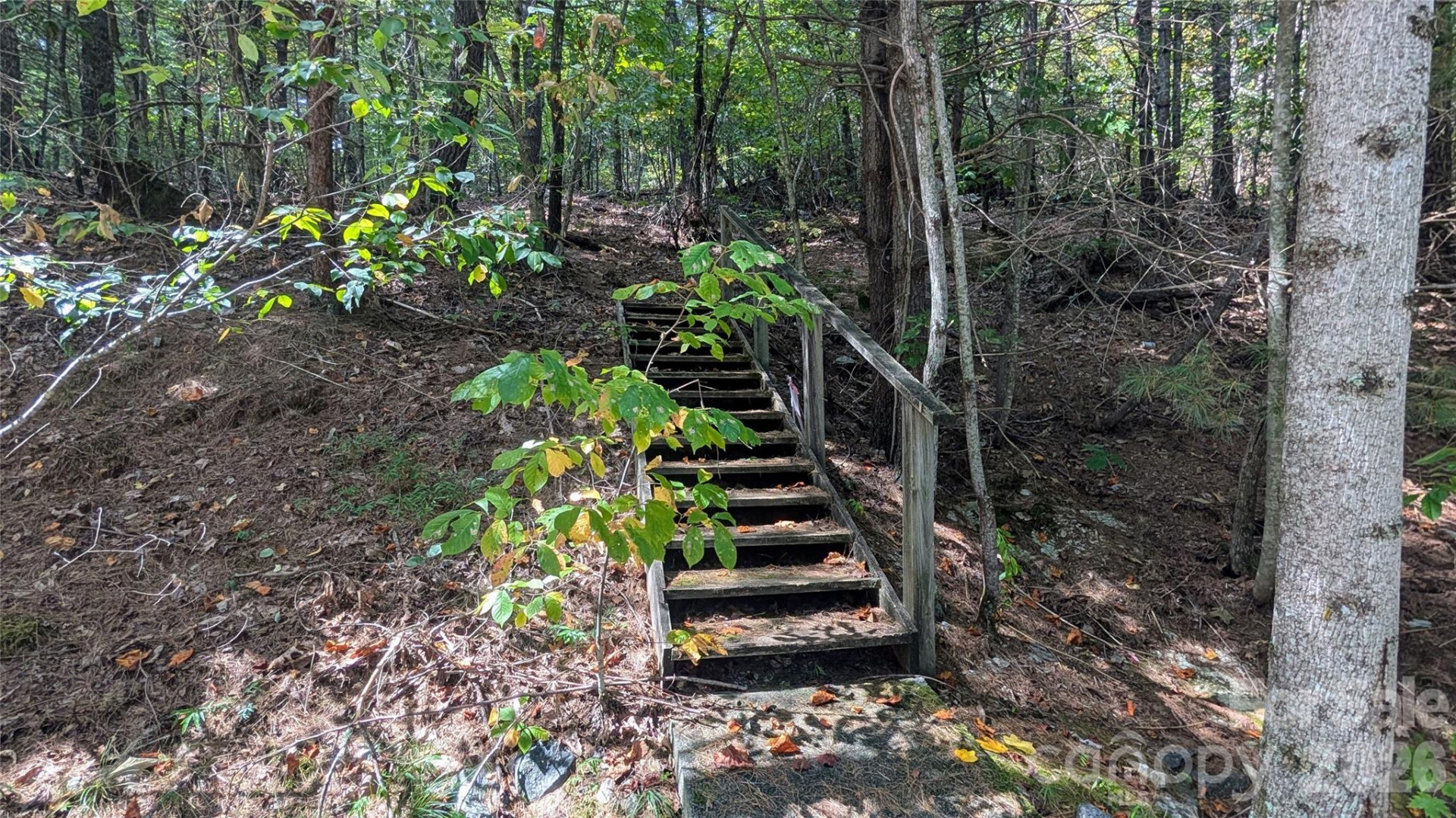 101 Scenic Drive #74 - Photo 3