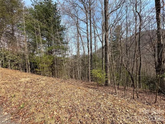 TBD Wood Stone Drive, Hendersonville, NC, 28792