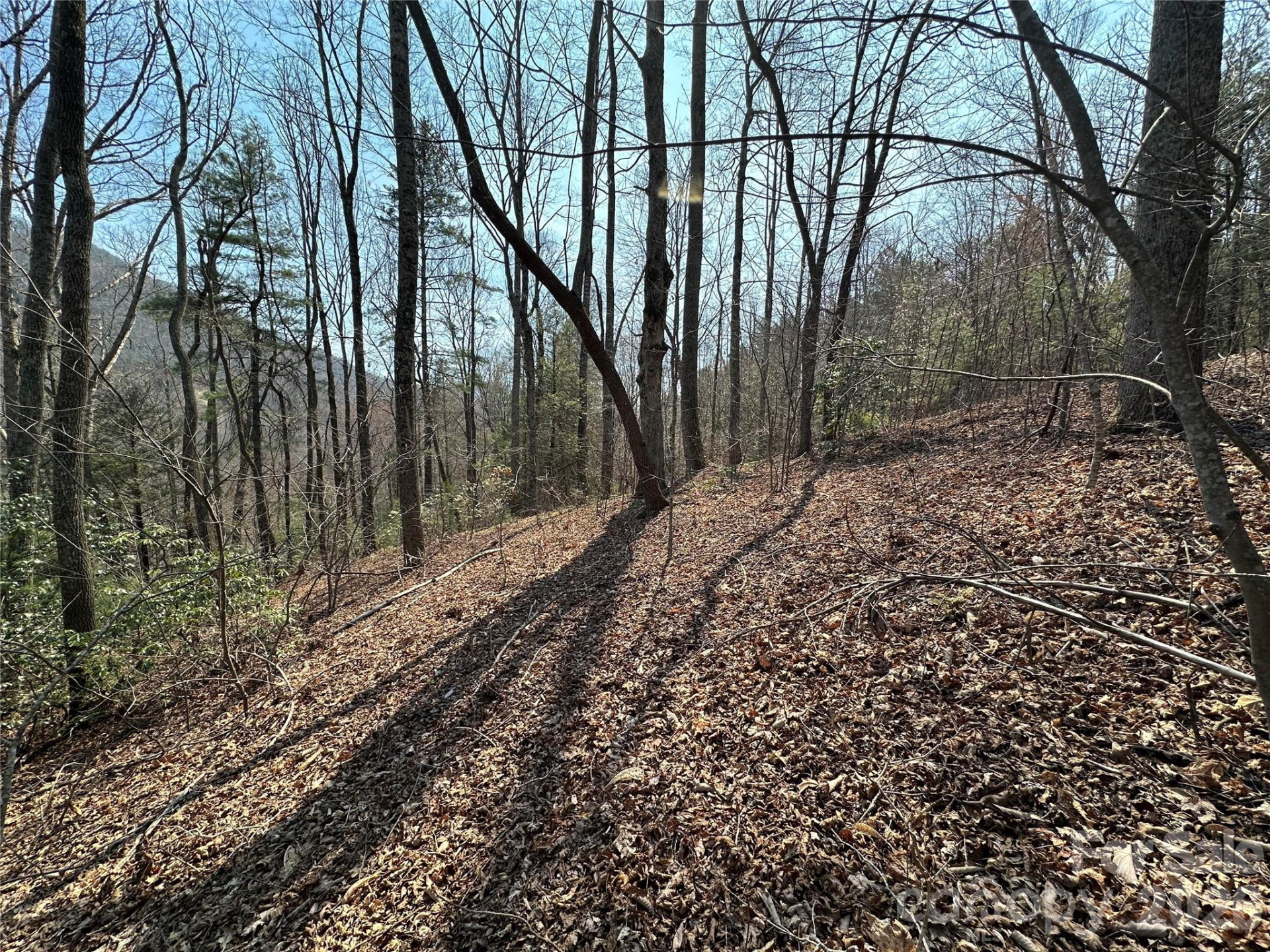 TBD Wood Stone Drive #14 - Photo 2