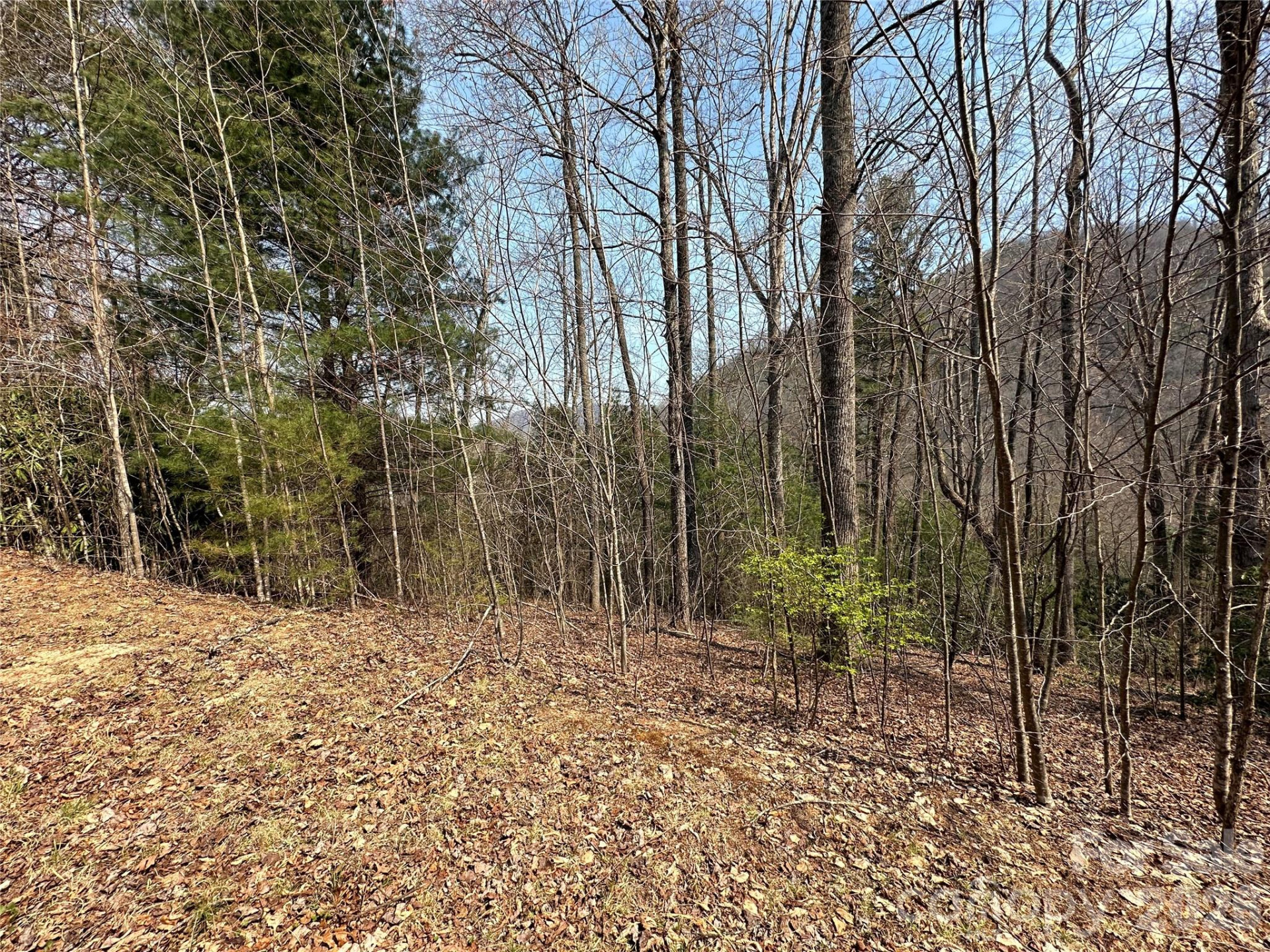 TBD Wood Stone Drive #14 - Photo 3