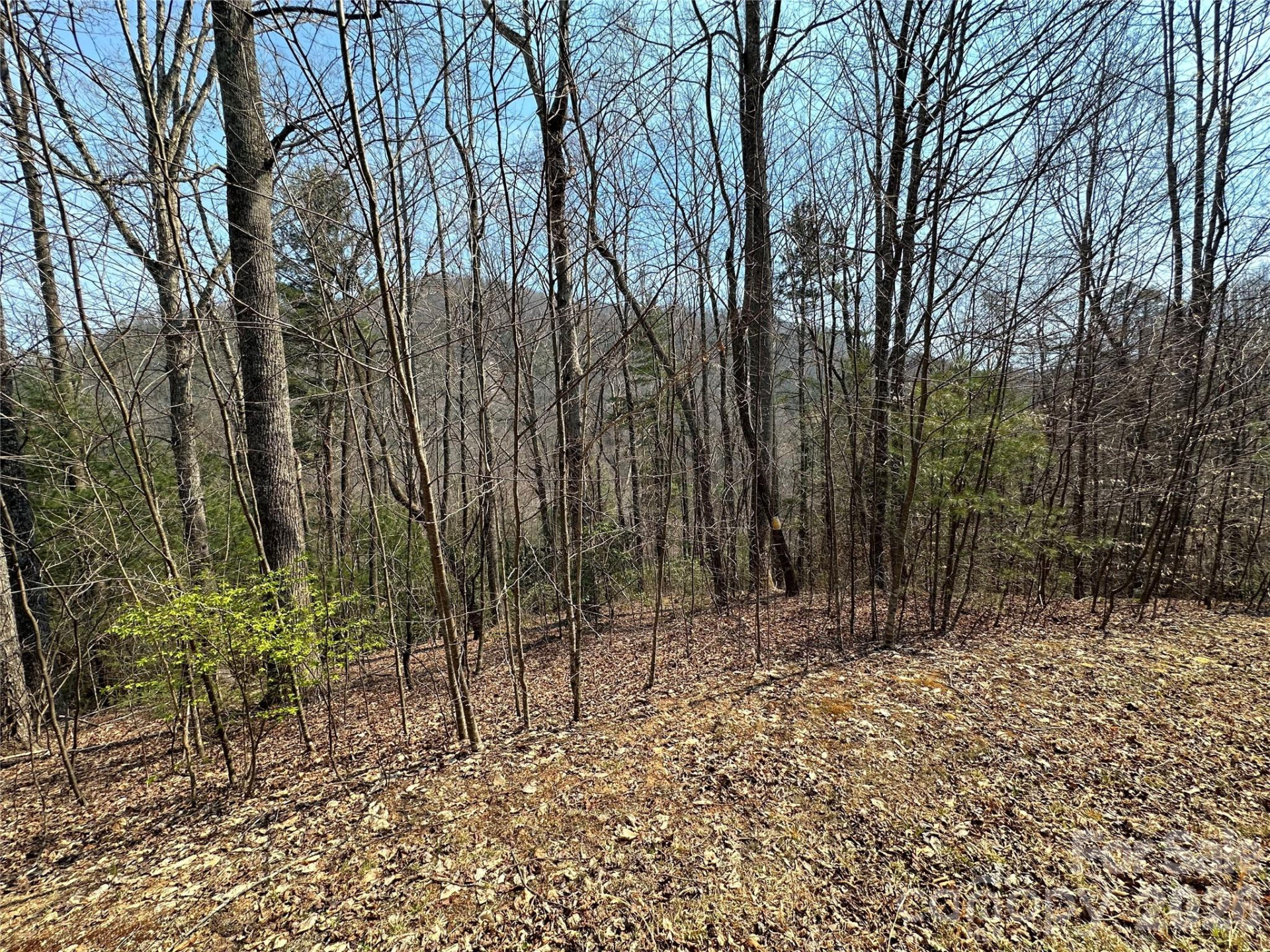 TBD Wood Stone Drive #14 - Photo 4