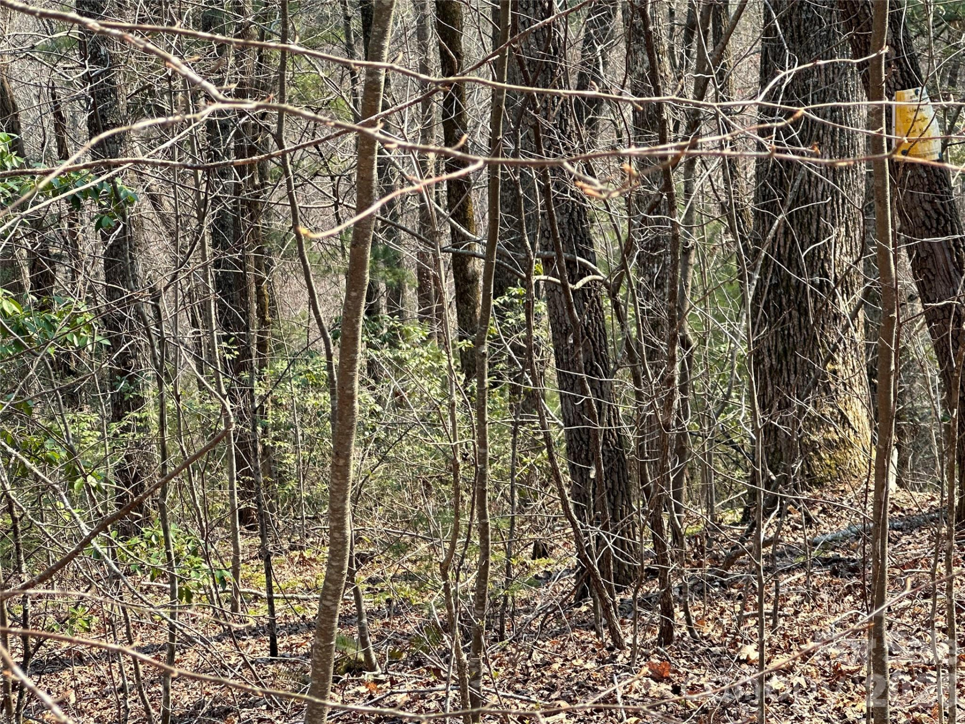 TBD Wood Stone Drive #14 - Photo 5