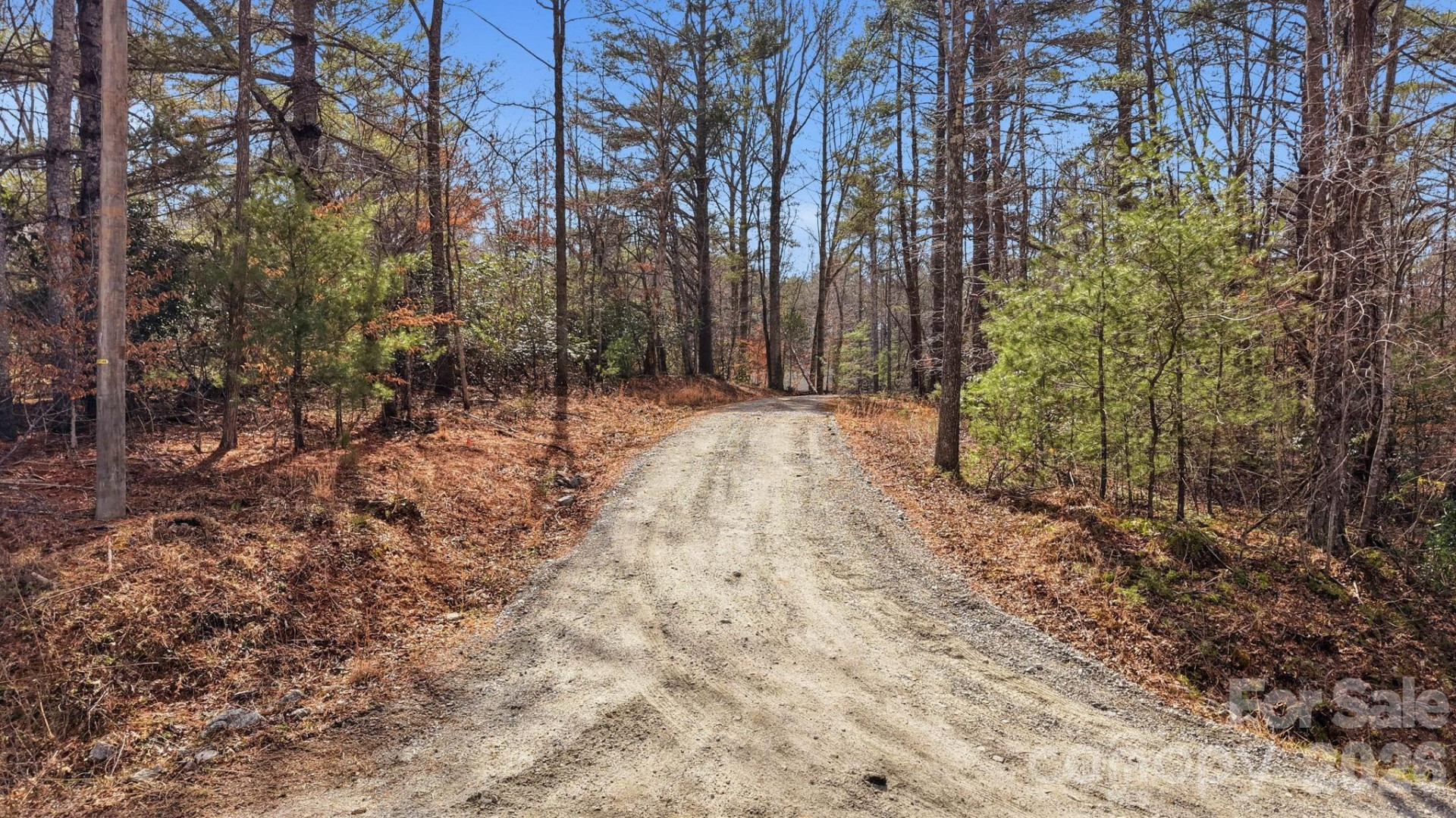 000001 Ray Hill Road #1 - Photo 2