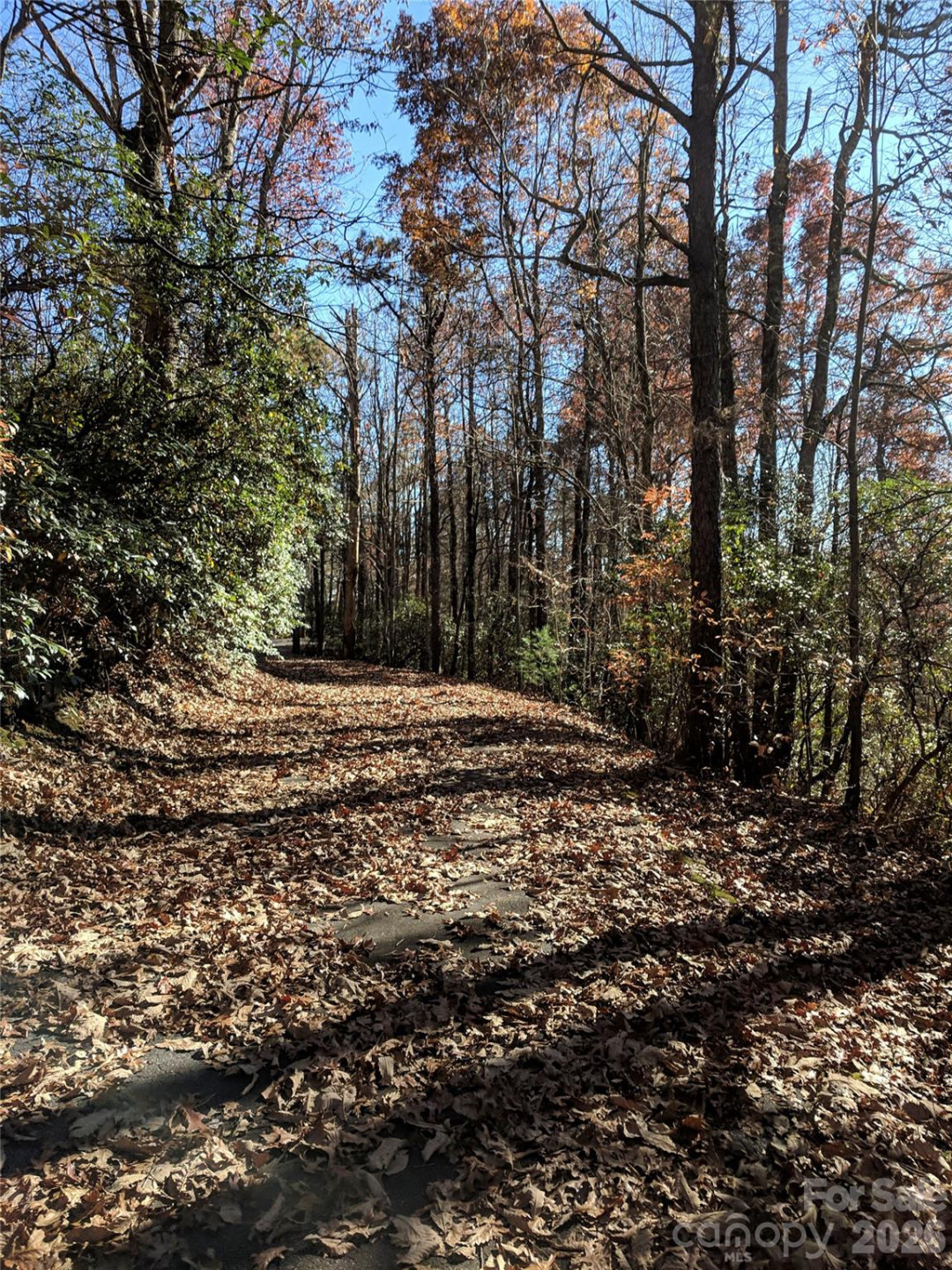 157 Toxaway Views Drive #802 - Photo 40