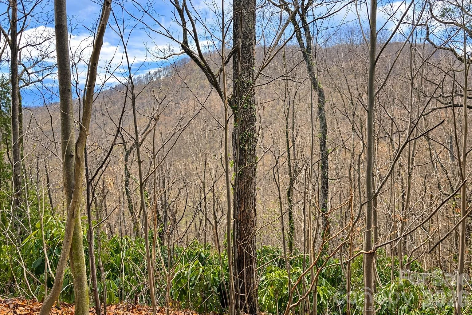 11 Majestic Overlook Way #36