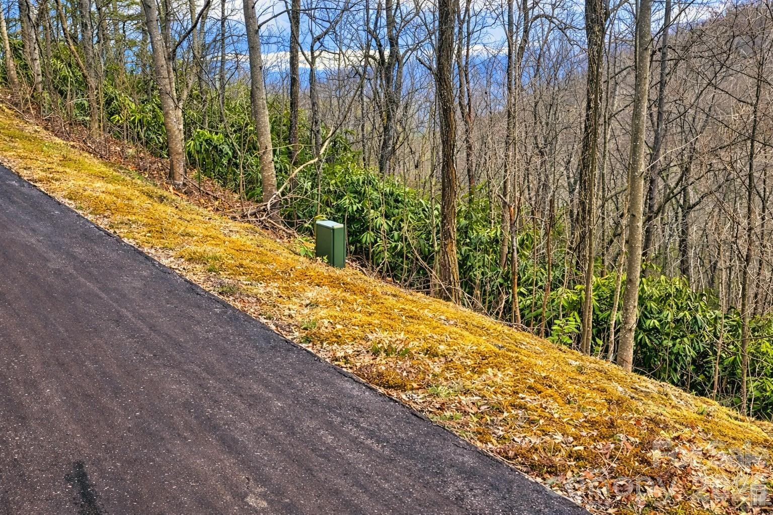 11 Majestic Overlook Way #36 - Photo 2
