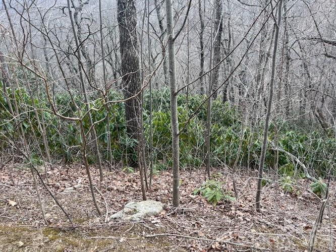 11 Majestic Overlook Way #36 - Photo 3