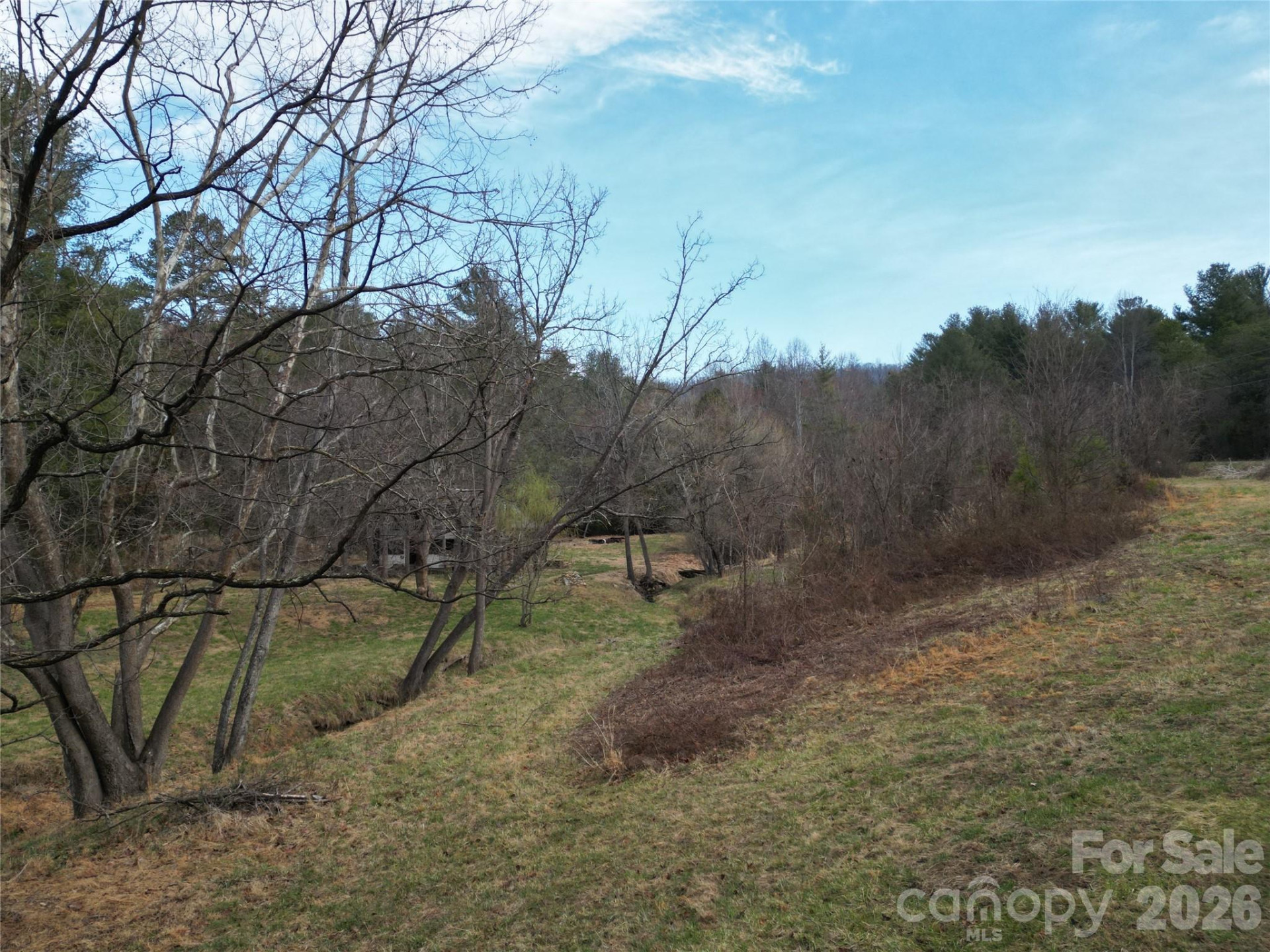 46 Pug Run #4 - Photo 4